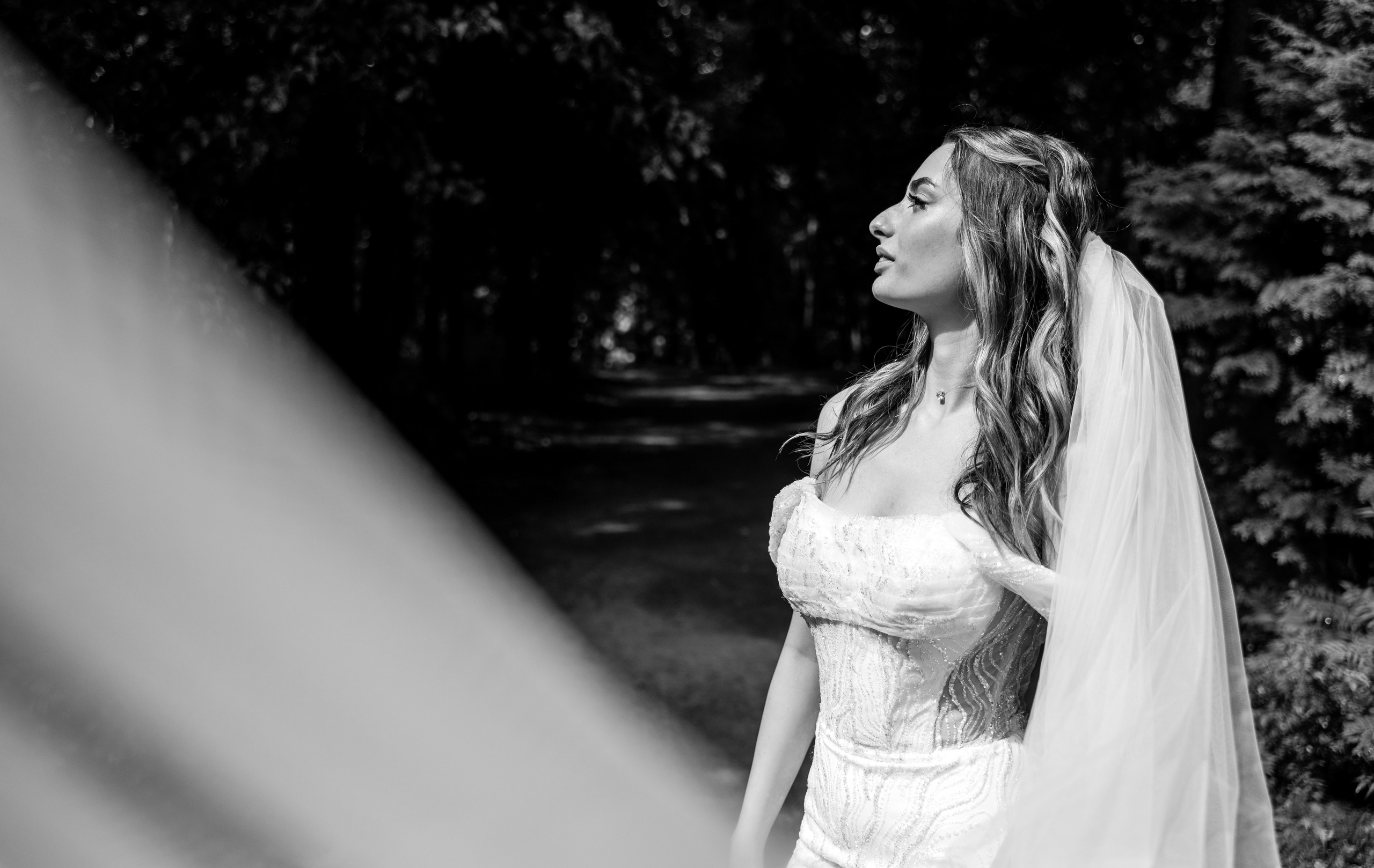 Свадьба, Нескучный сад, Фотосессия. Свадебный фотограф Ирина Димитриева