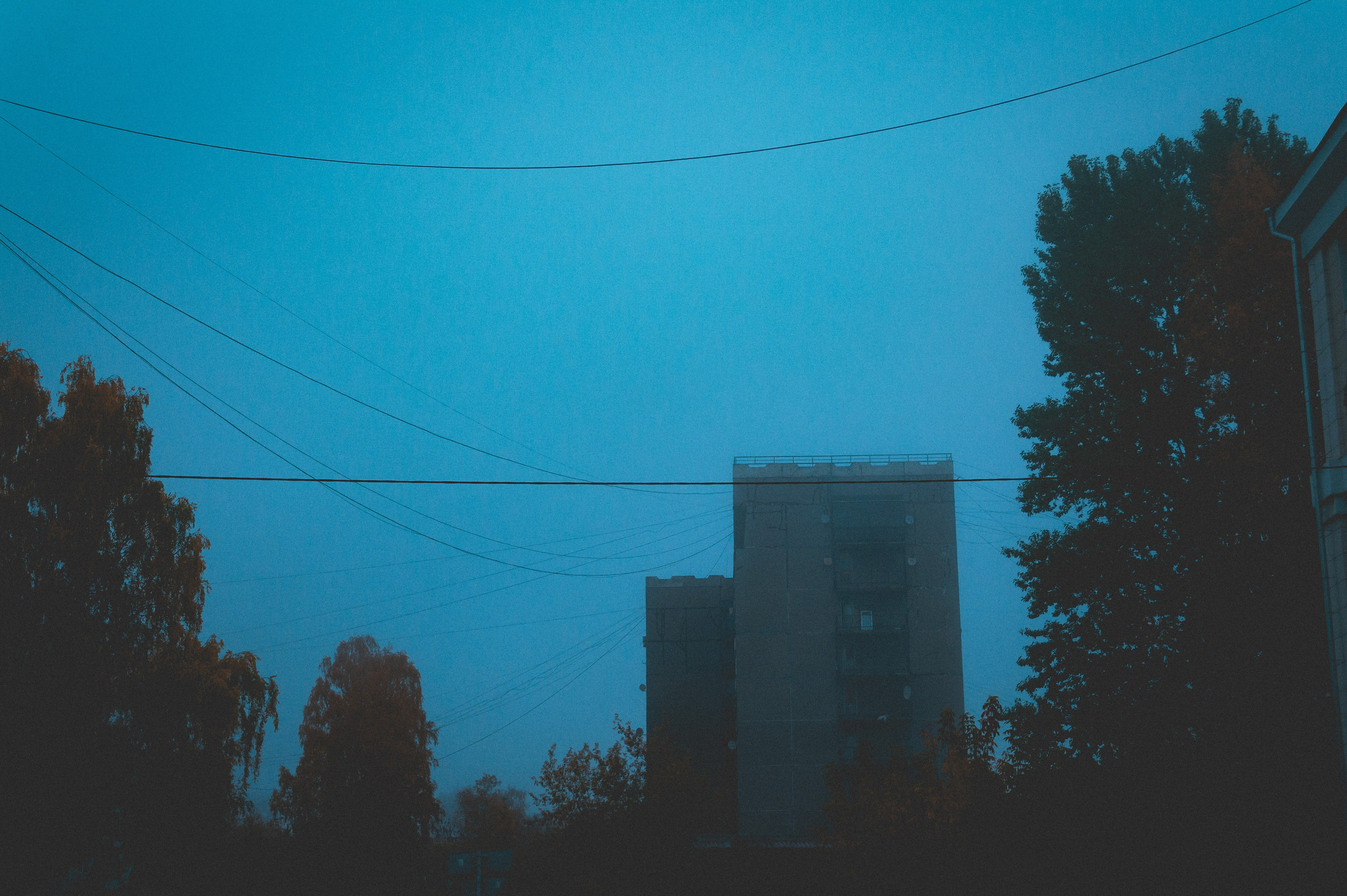 Октябрь 2025. Den Mirov — Фотограф, Музыкант