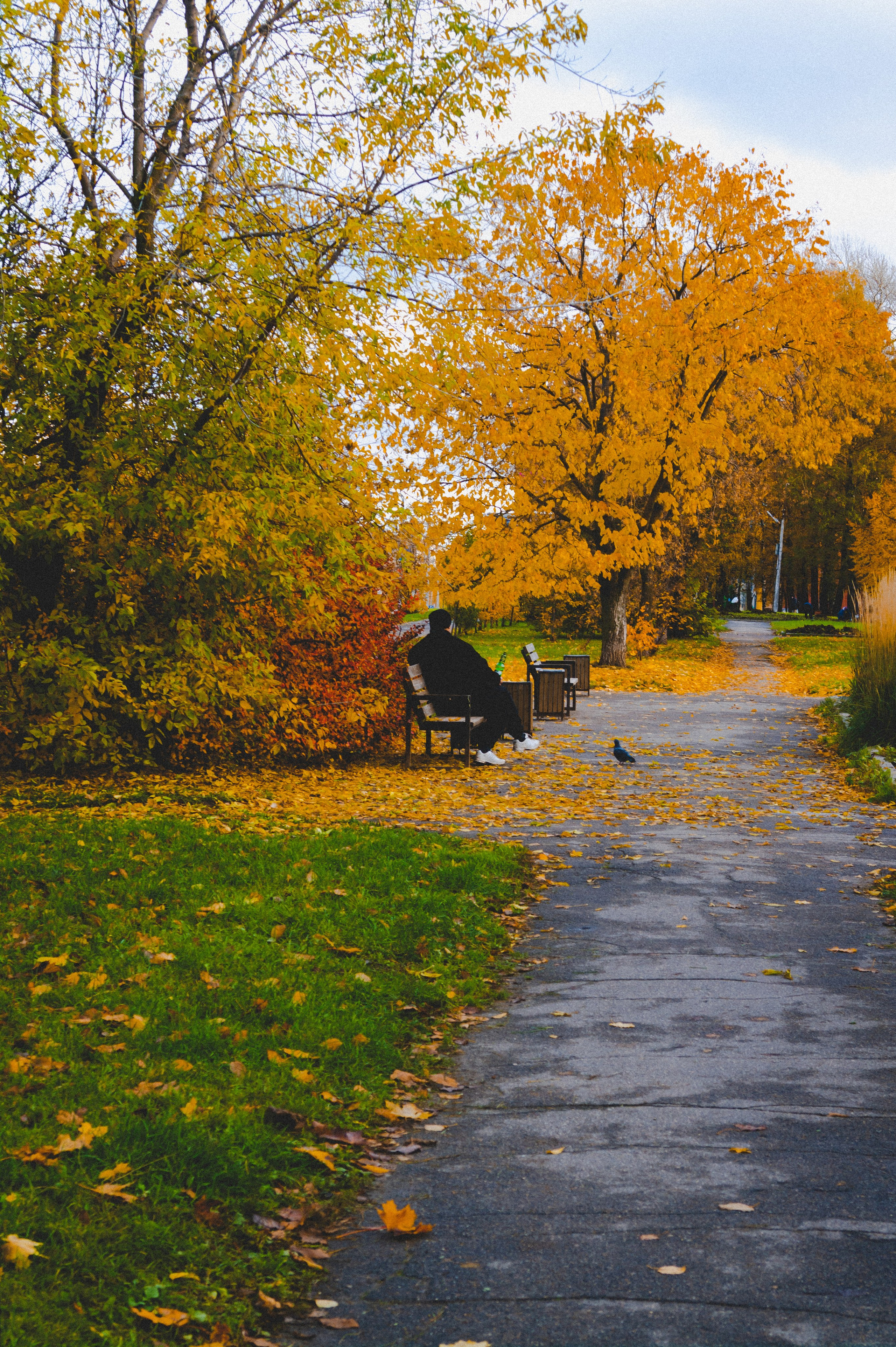 Октябрь 2025. Den Mirov — Фотограф, Музыкант