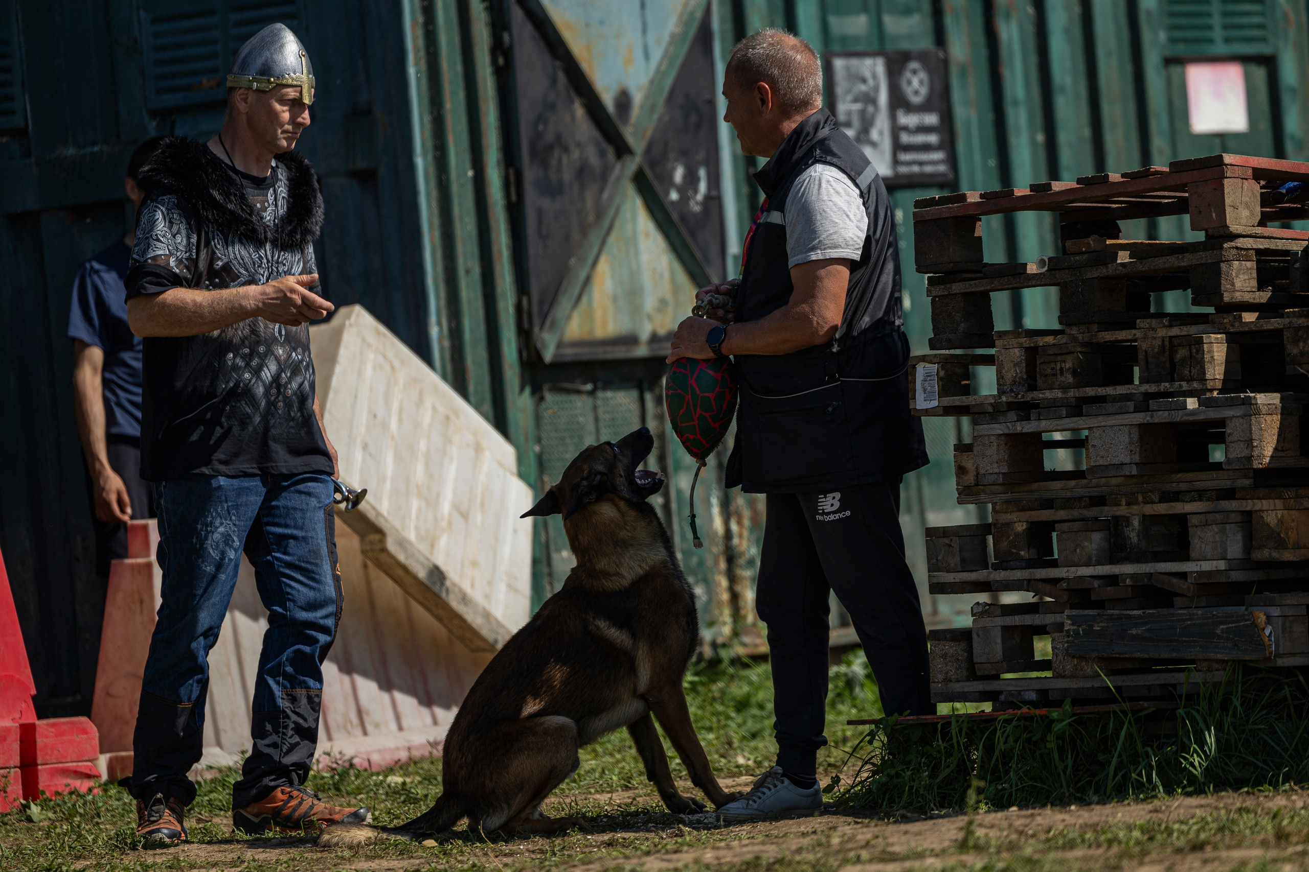 Соревнования по Мондьорингу г. Вологда 10-11.08.2024. Фотограф-анималист Анна Маринич