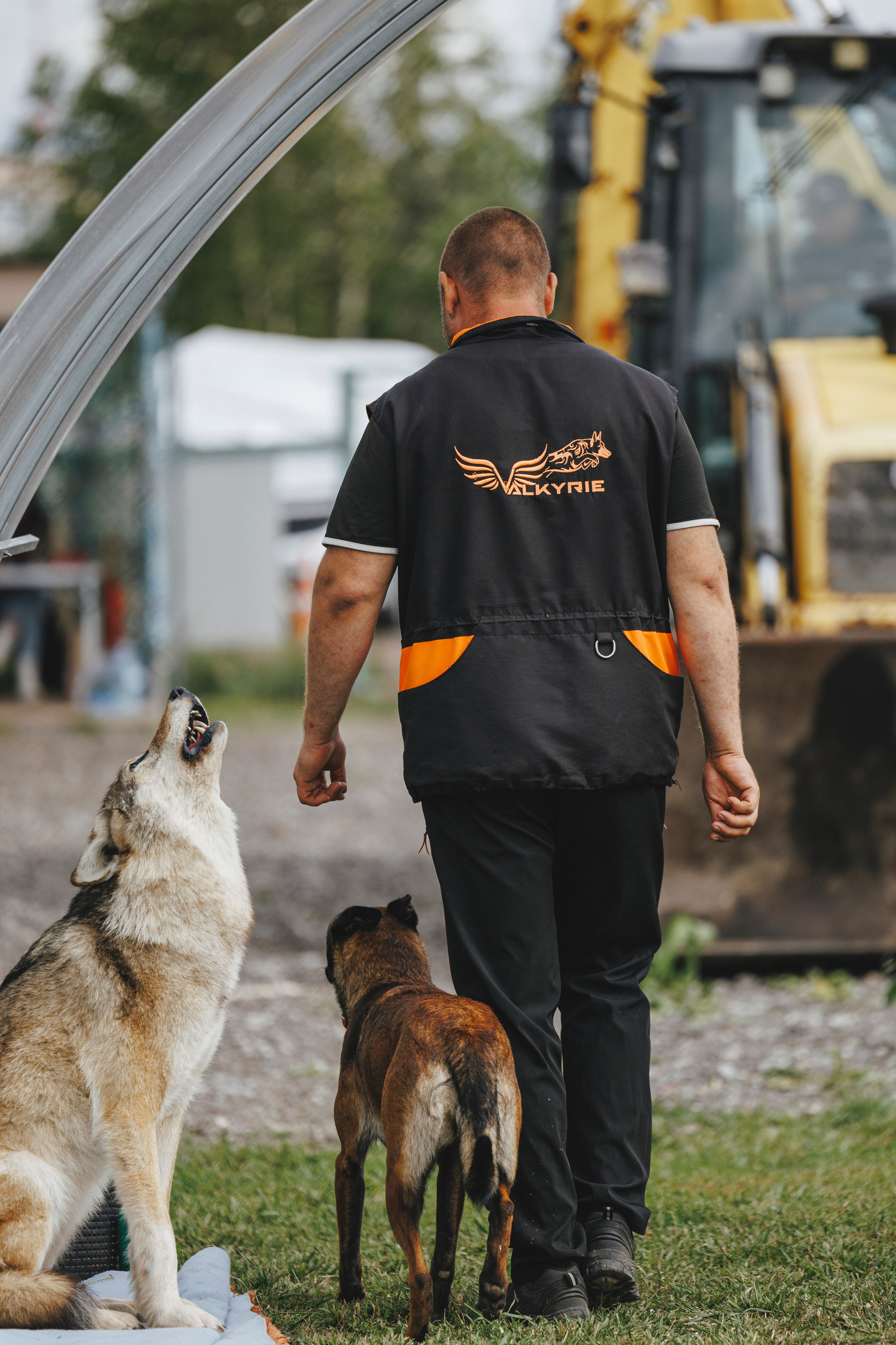 08.08.25-10.08.25 ЧР по мондьорингу г. Вологда. Фотограф-анималист Анна Маринич
