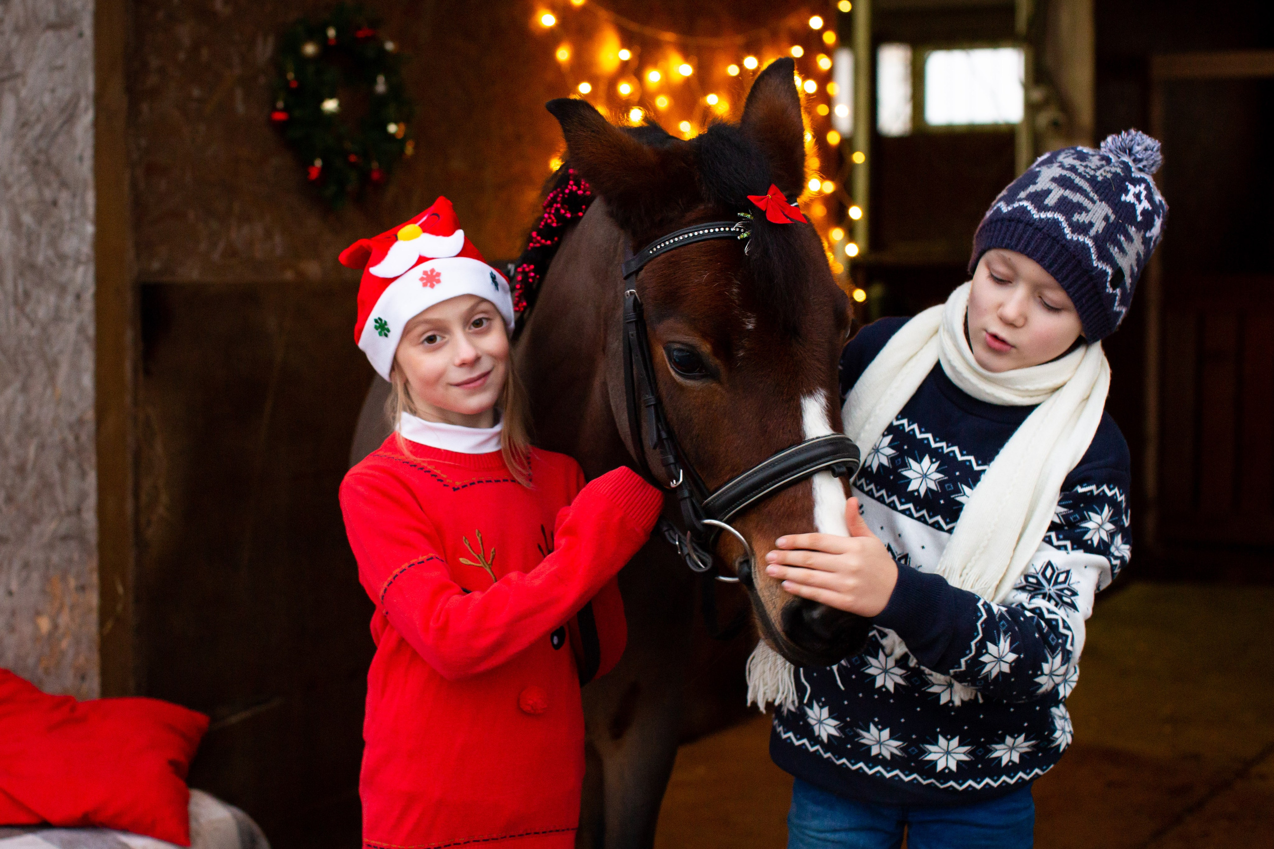 Конные фотосессии (съёмки с лошадьми). Главная