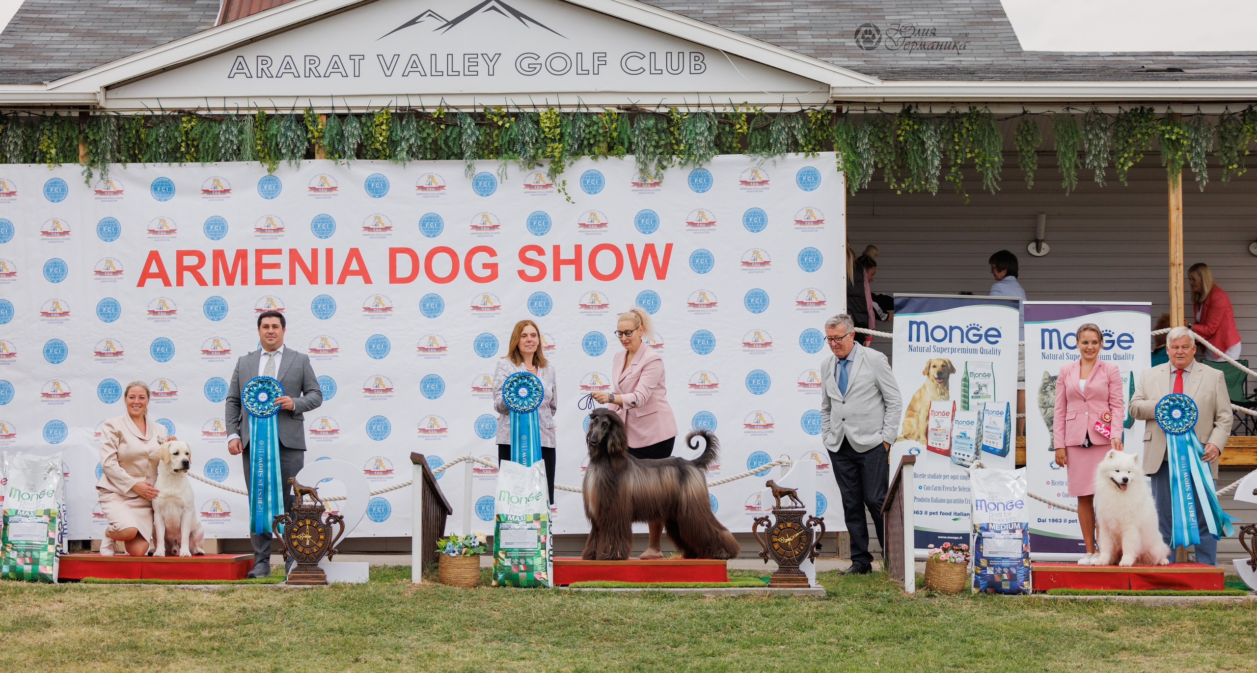 Туция,Стамбул 2хCACIB 26-27.10.24. Фотограф-анималист Юлия Германика