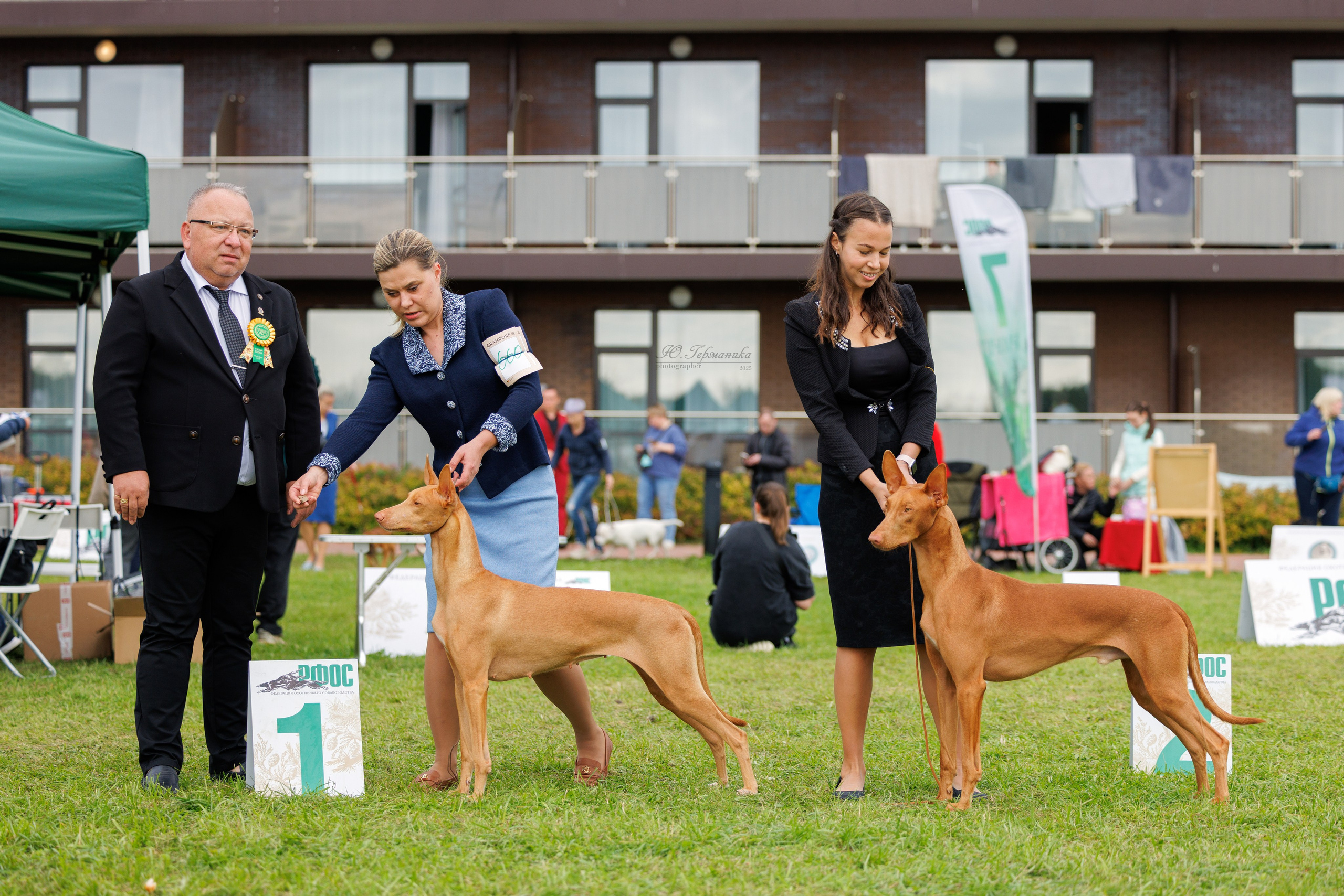 Переславль 5-7.08.2025. Фотограф-анималист Юлия Германика