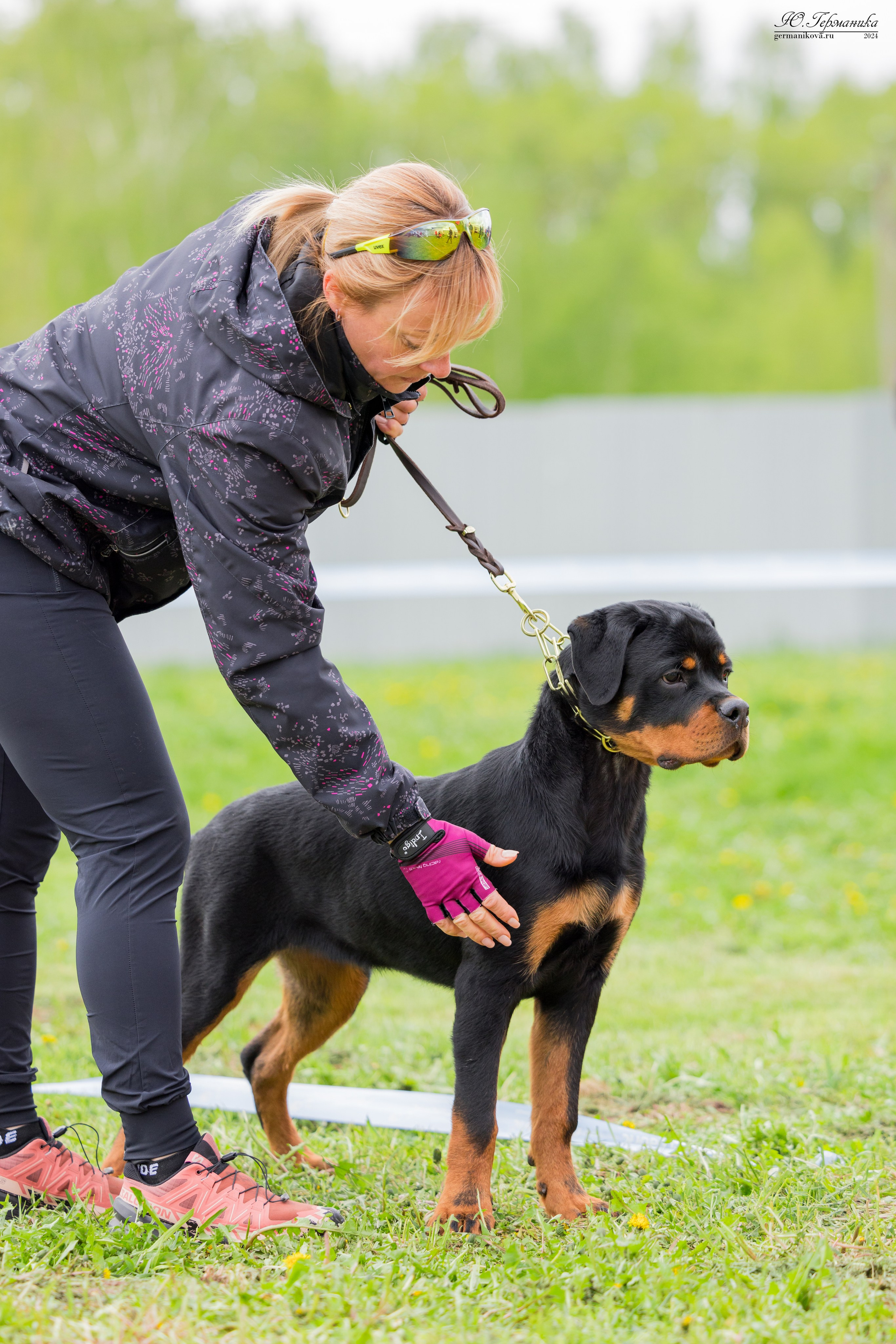 Нижний Новгород 11-12.05.2024 моно ротвейлеров. Фотограф-анималист Юлия Германика