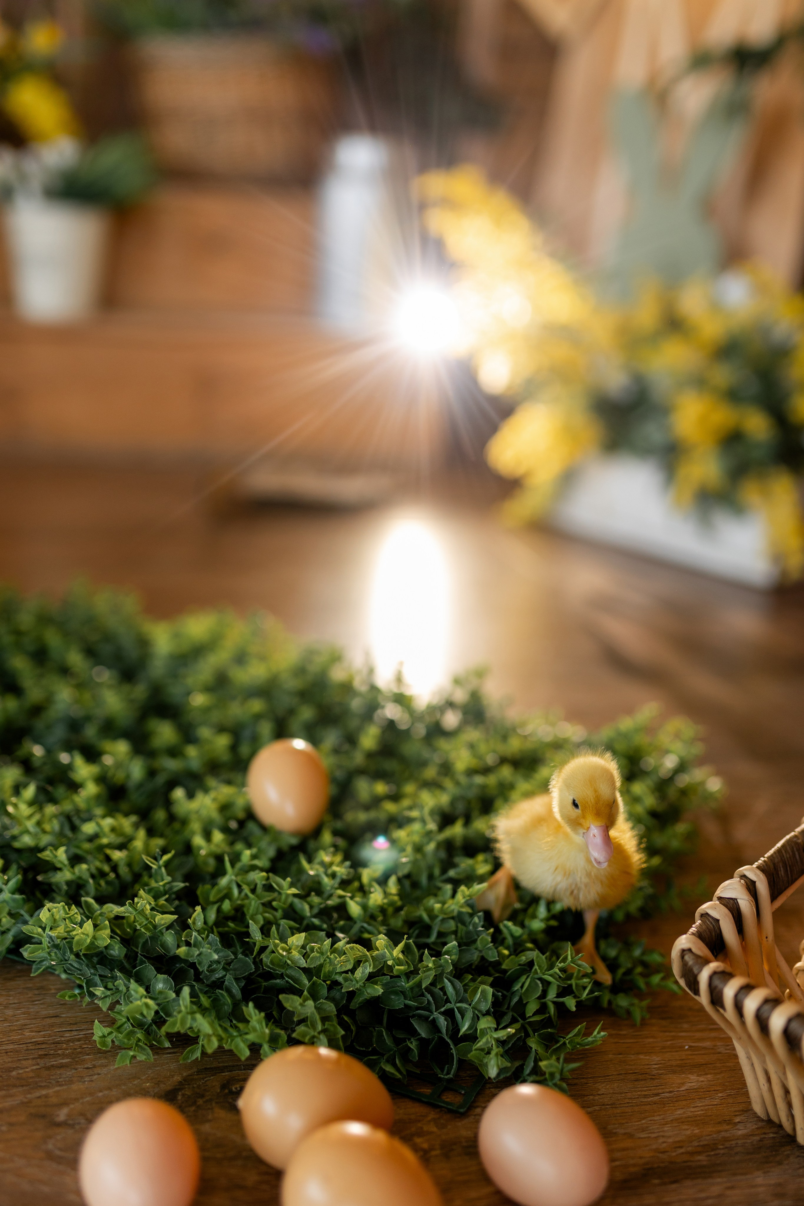 Денис к Пасхе. Семейный и женский фотограф в Ростове-на-Дону Екатерина Фитисова