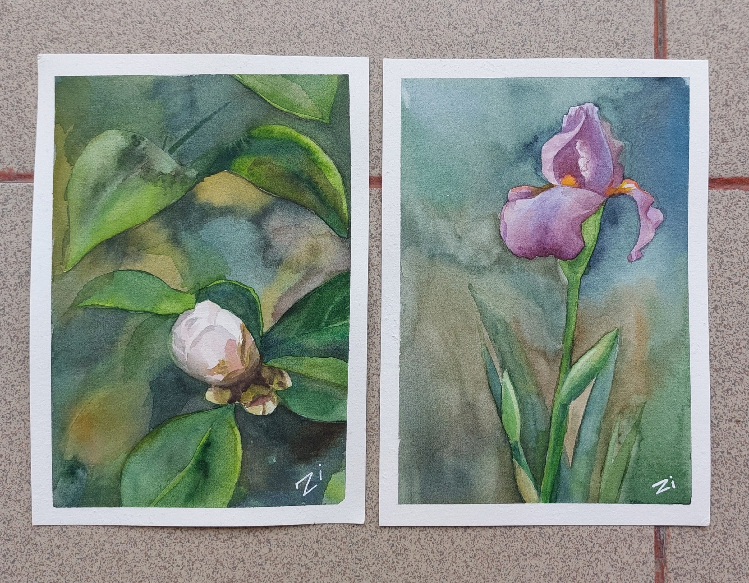 Акварель. Фотограф Юлия Зимина