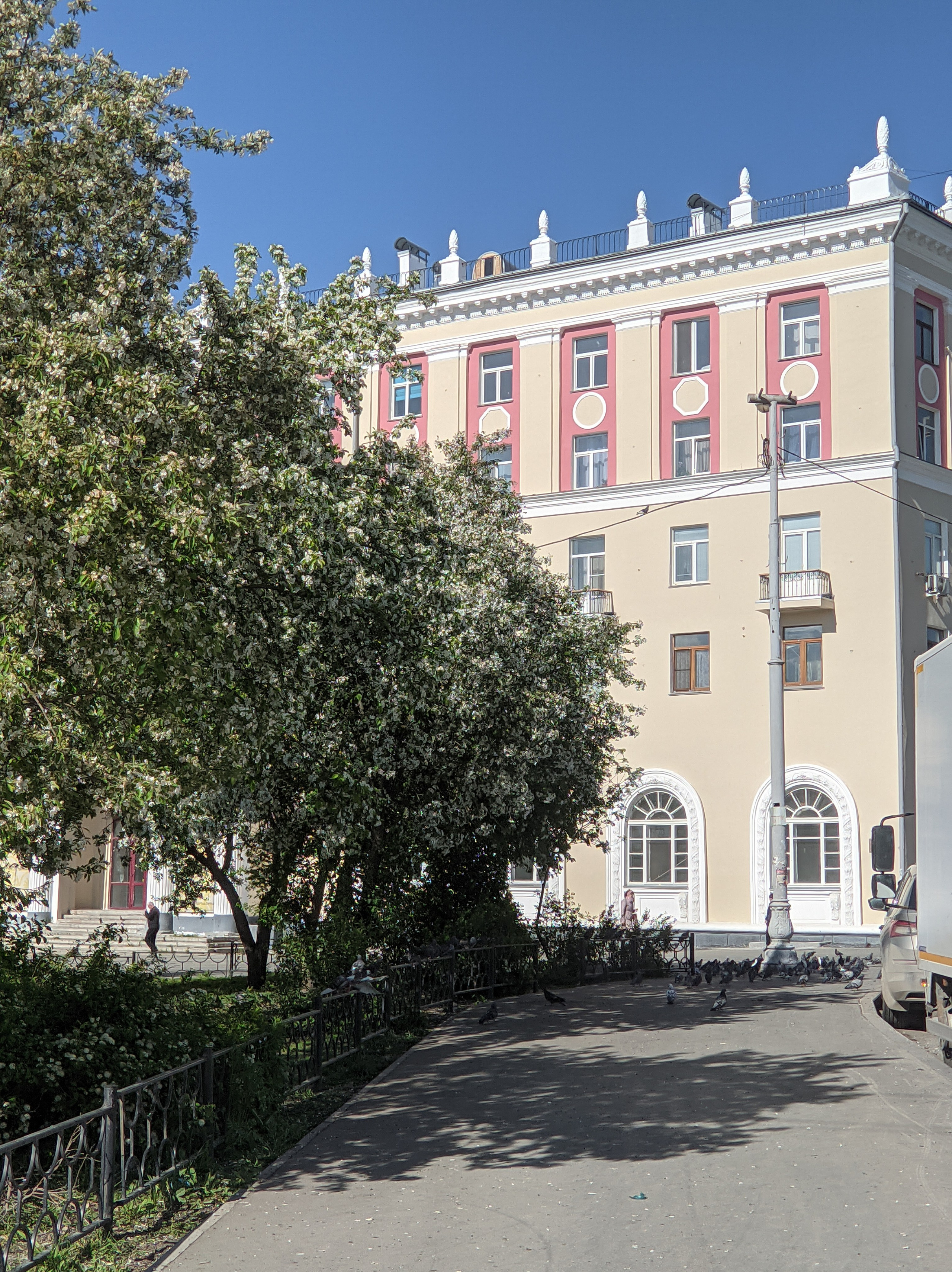 Солнечный. Фотограф в Санкт-Петербурге Березовский Даниил