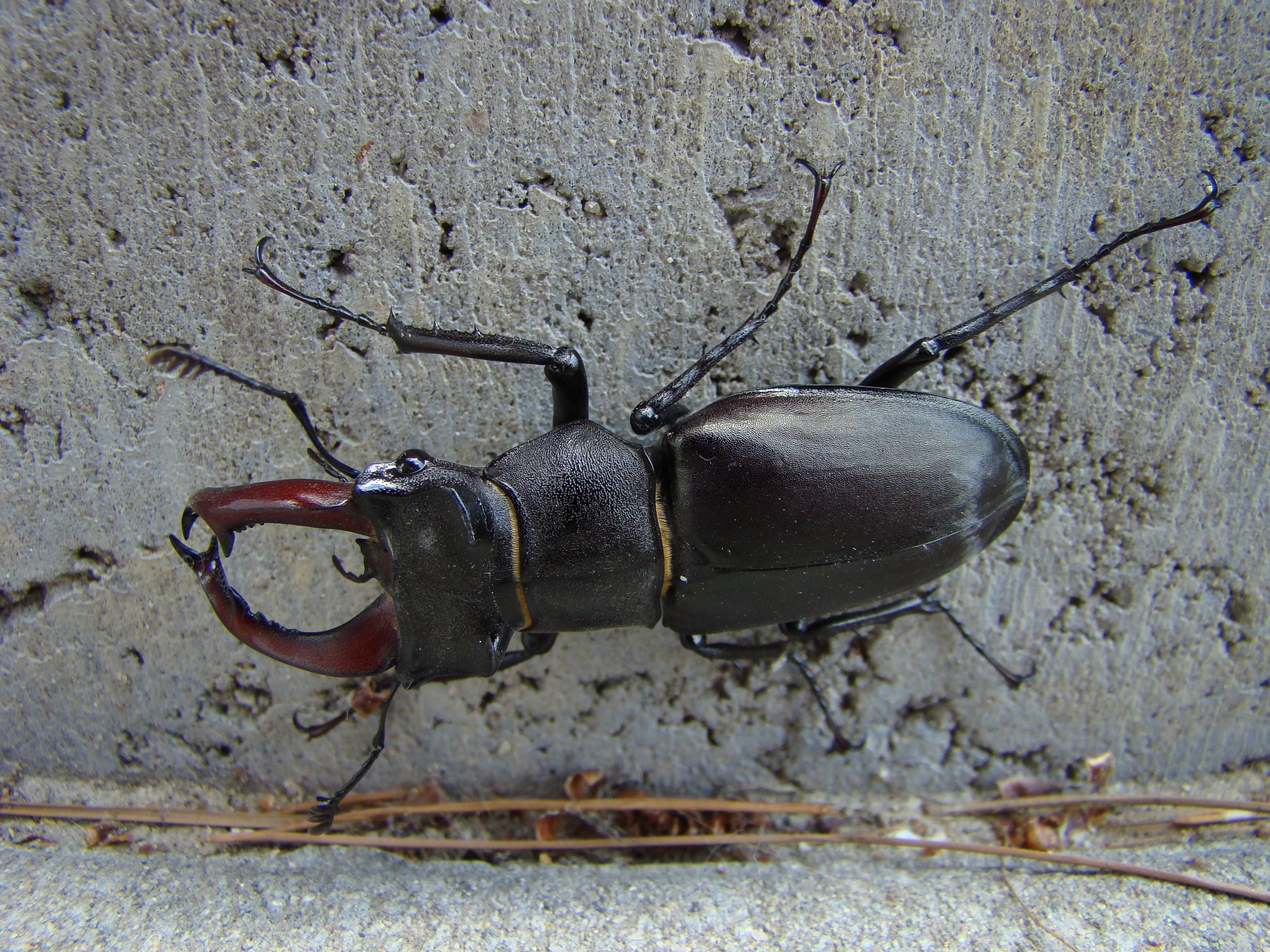 Кабардинка (фото Зевиных) 25.06-24.07.2008. Семейный, Свадебный фотограф СПБ Питер— Романова Екатерина