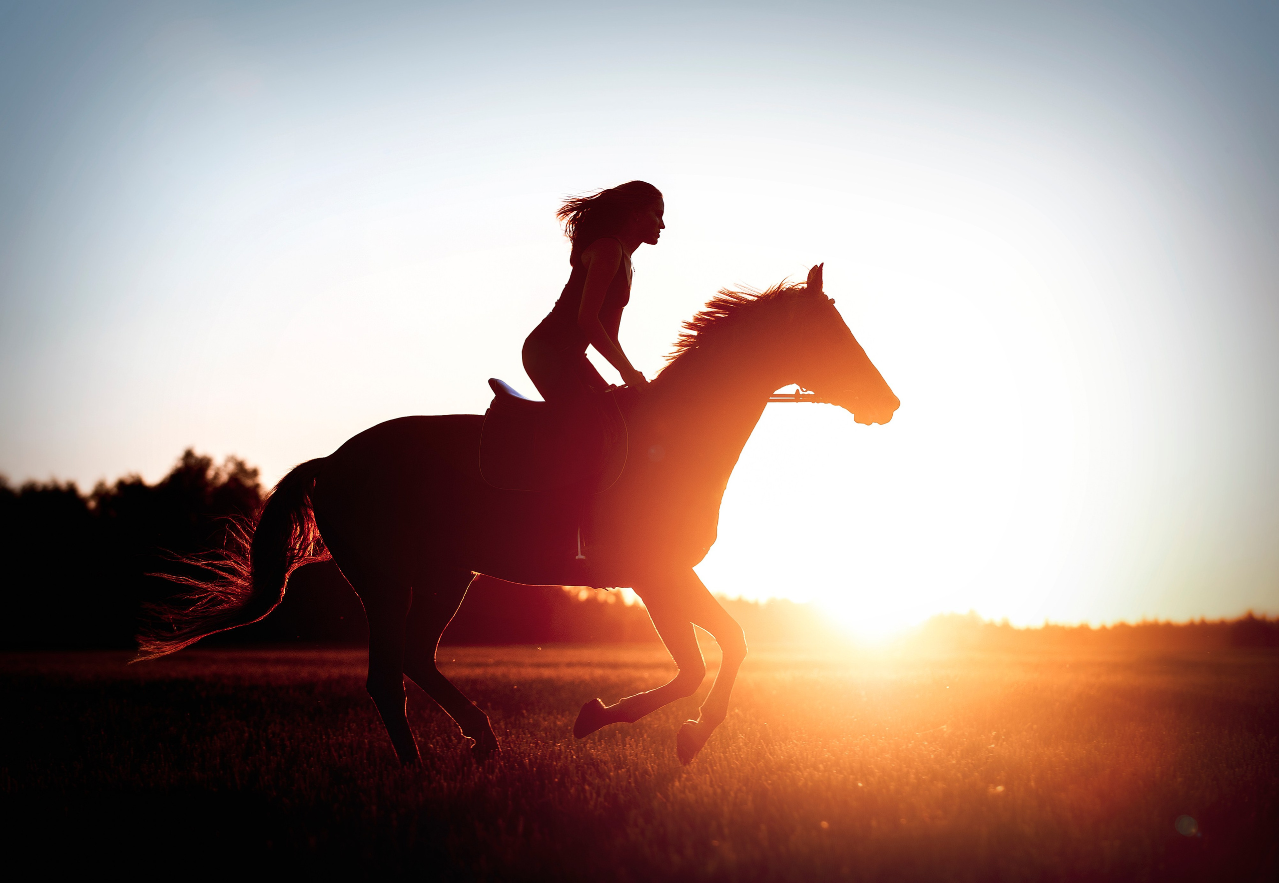 Портрет. Портретная и свадебная фотосъемка. Москва и область