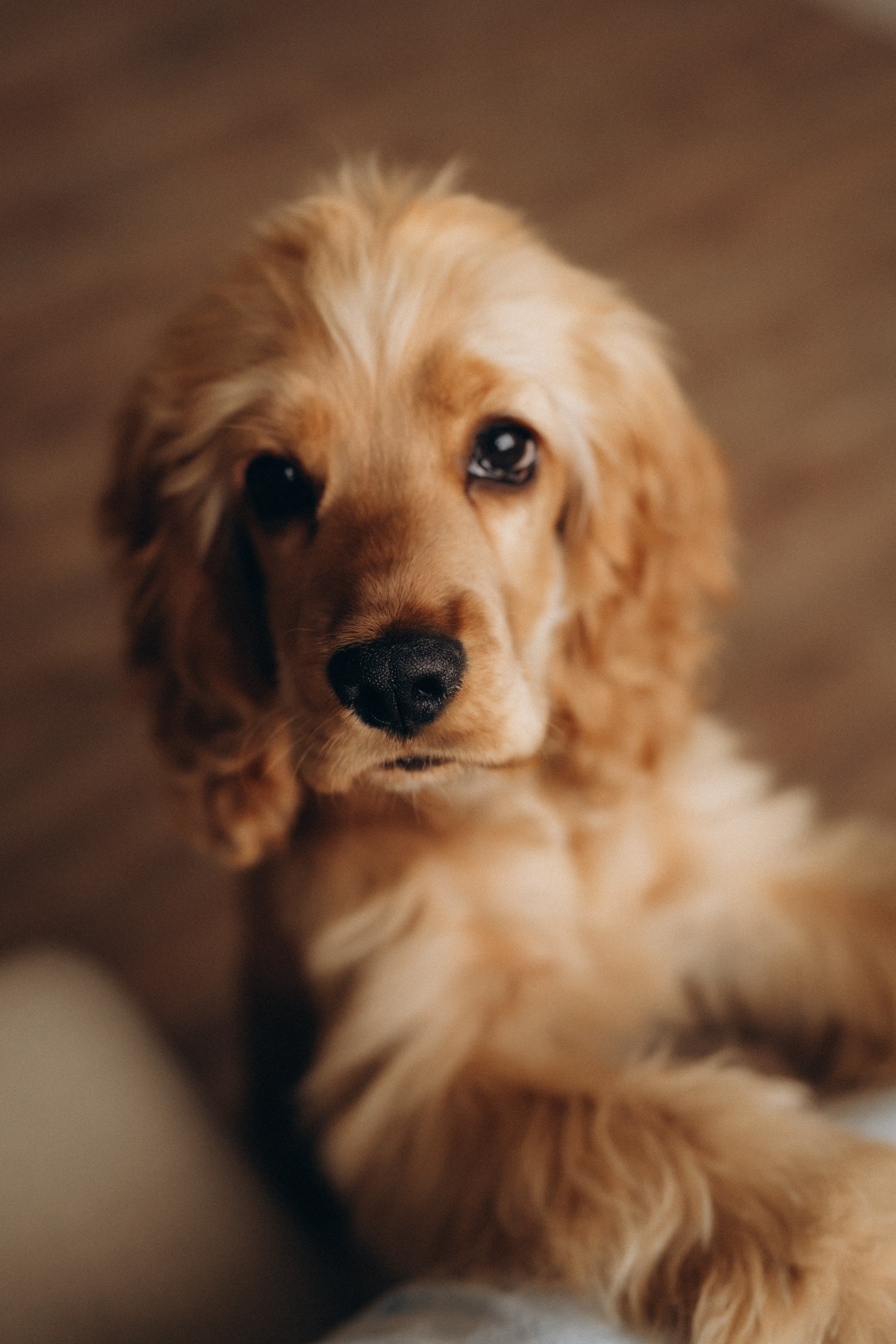 Сделано с любовью. Семейный фотограф в Ангарске/ Иркутске