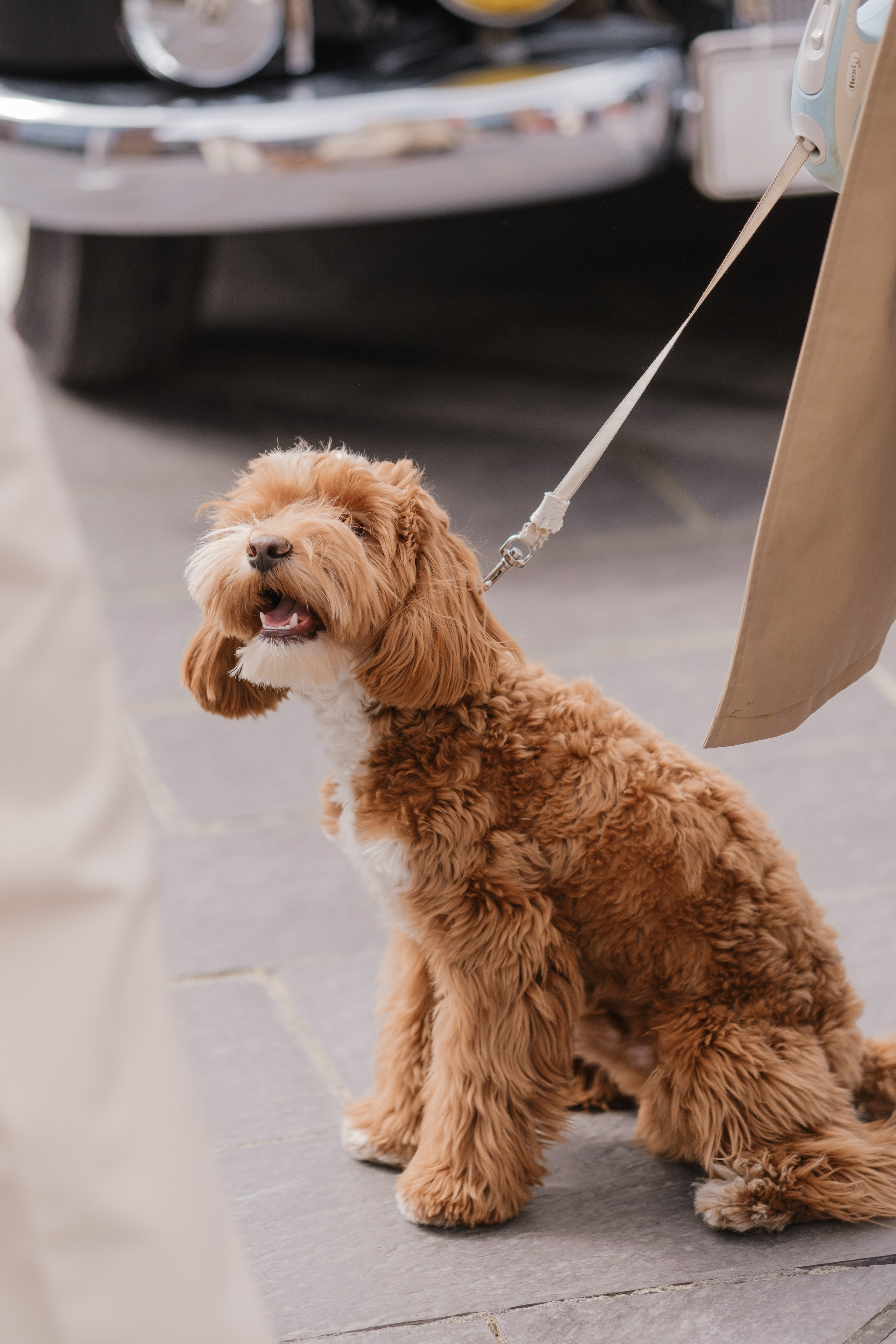 Ралли Архангельское Аутлет. Свадебные фотосессии в Москве. Фотограф Сергей Ржевский