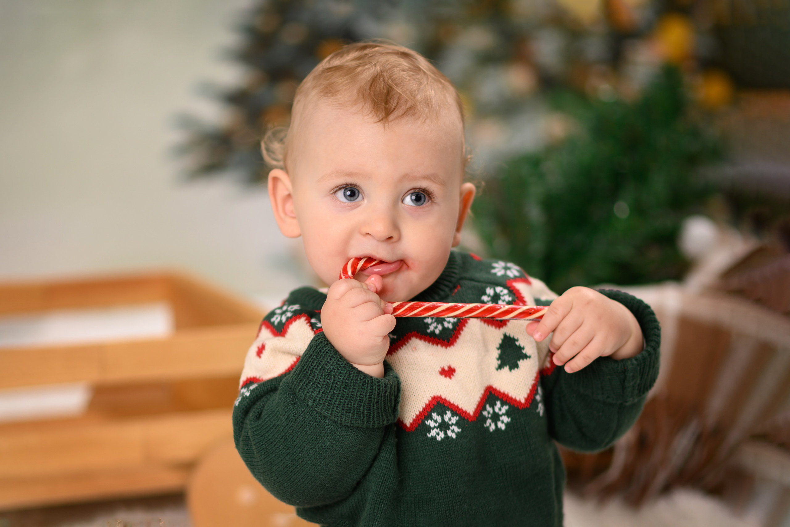 Новый год. Детский фотограф Тольятти. Лера Герт
