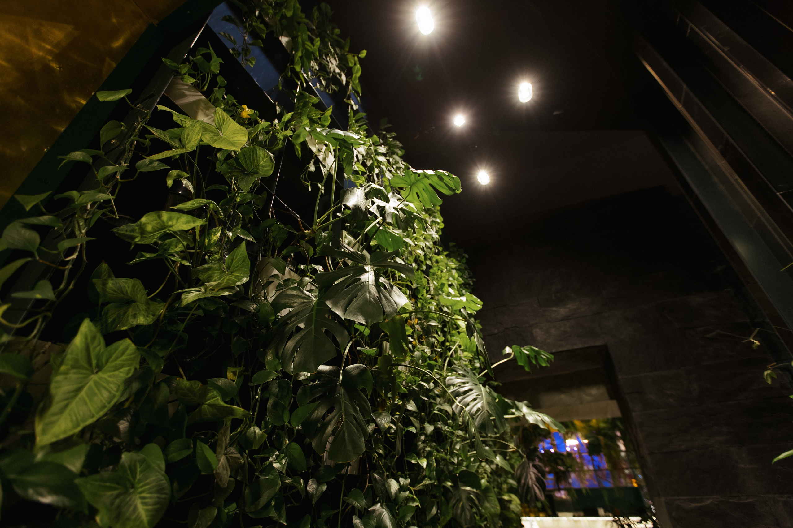 Ресторану ЭХО 10 ЛЕТ. СВОИ. ФОТООТЧЕТЫ-СОБЫТИЯ-МЕСТА