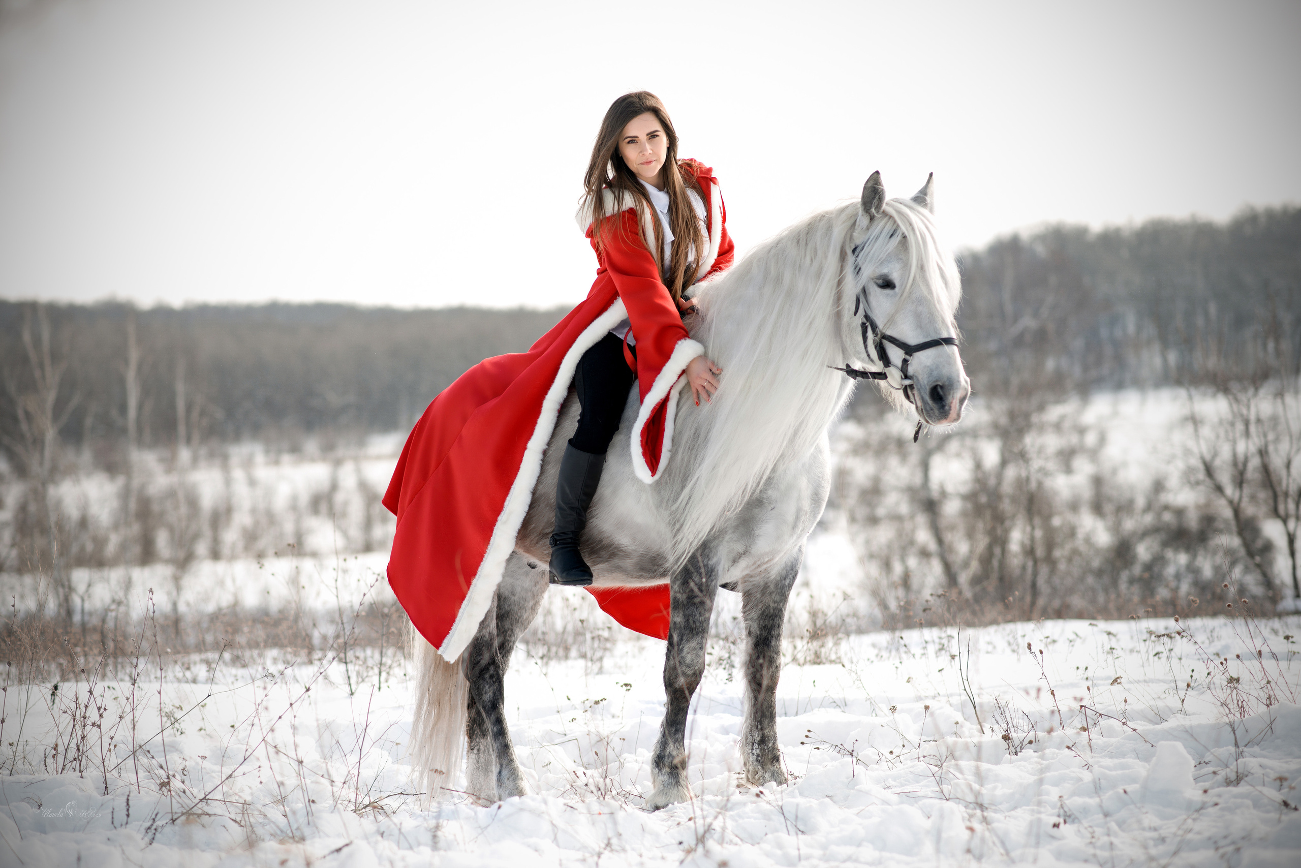 Маша и Вымпел. Конный фотограф в Саратове Юлия Иванова
