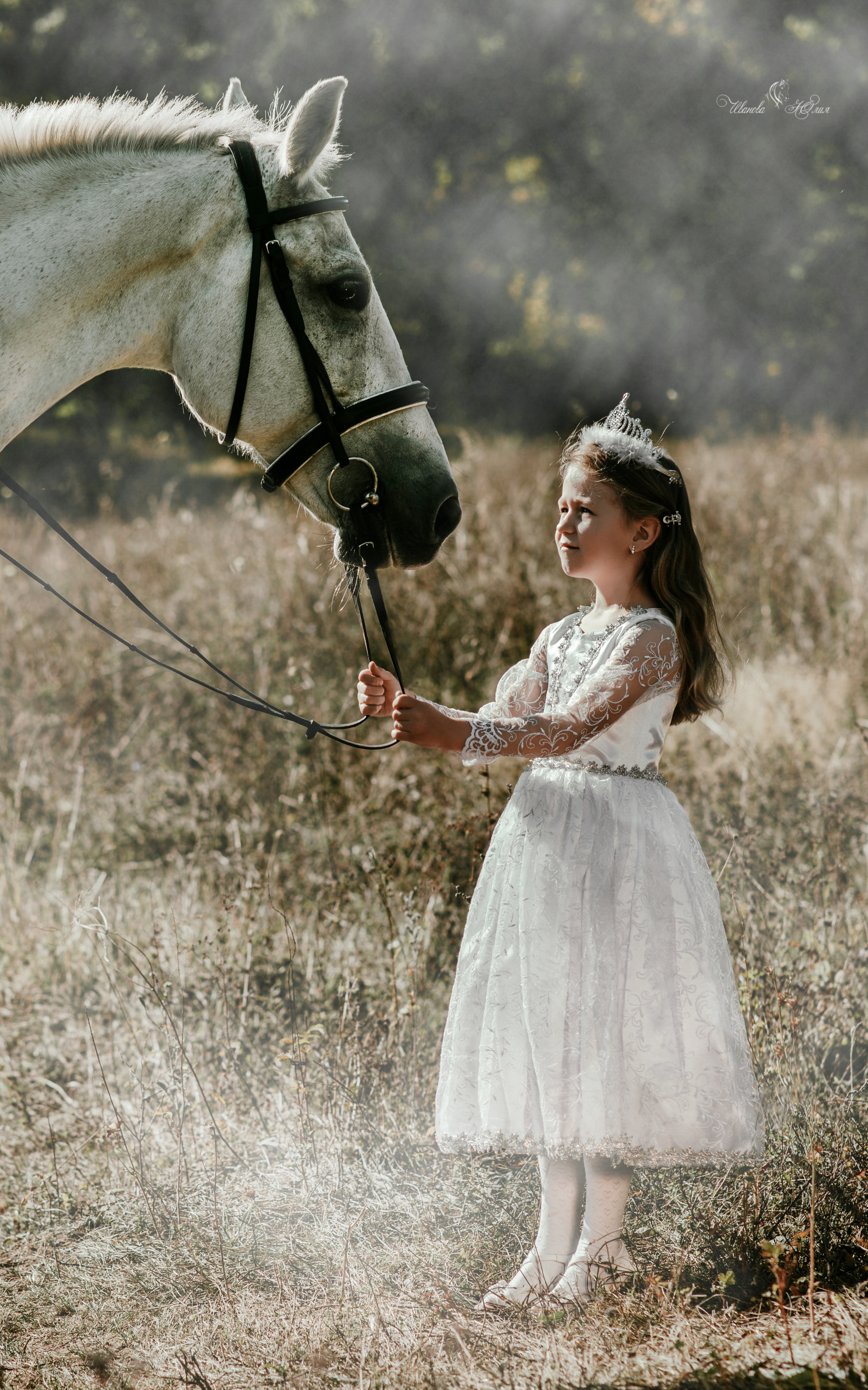 Мирослава и Гипноз. Конный фотограф в Саратове Юлия Иванова