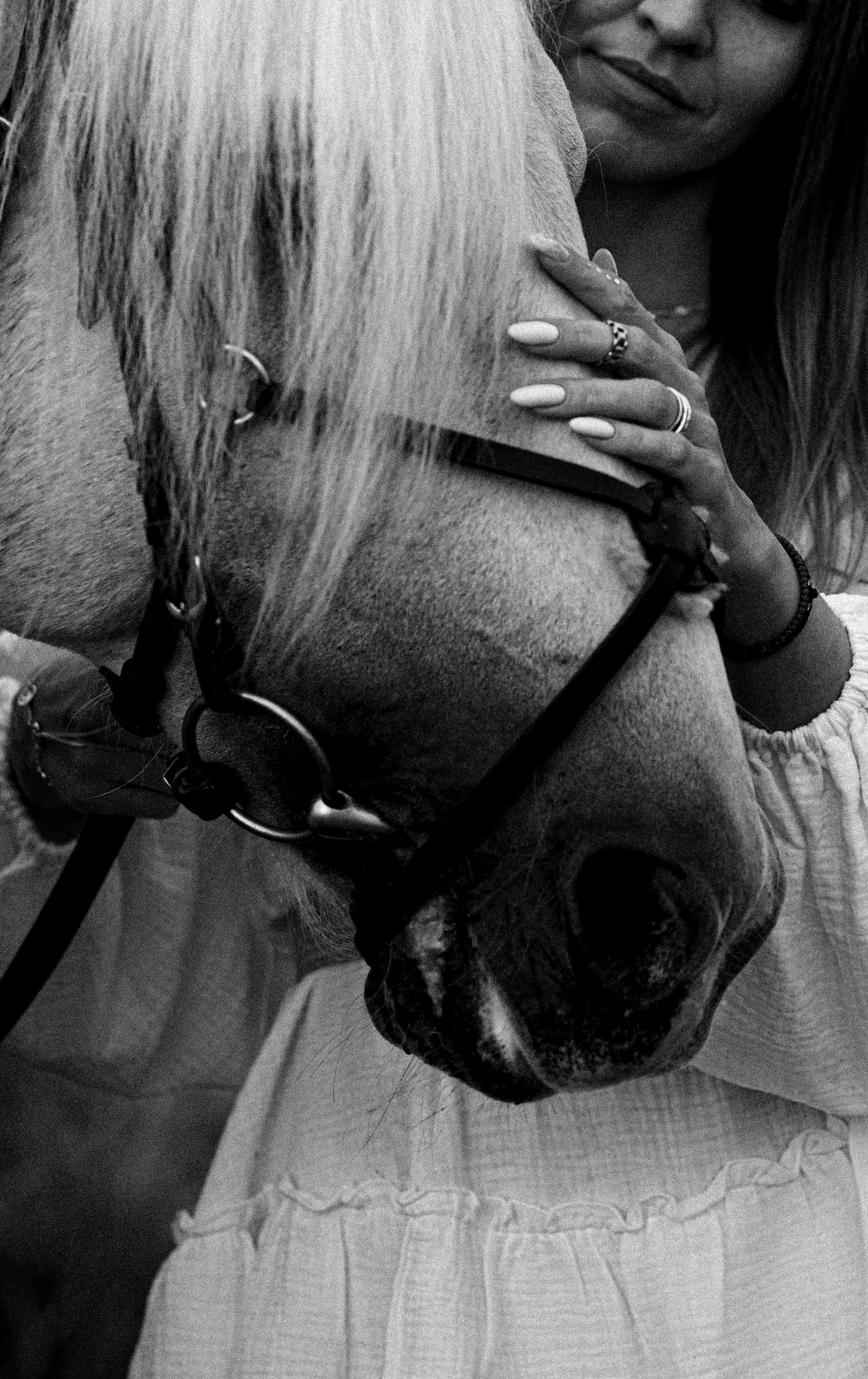 Елена и Вымпел. Конный фотограф в Саратове Юлия Иванова