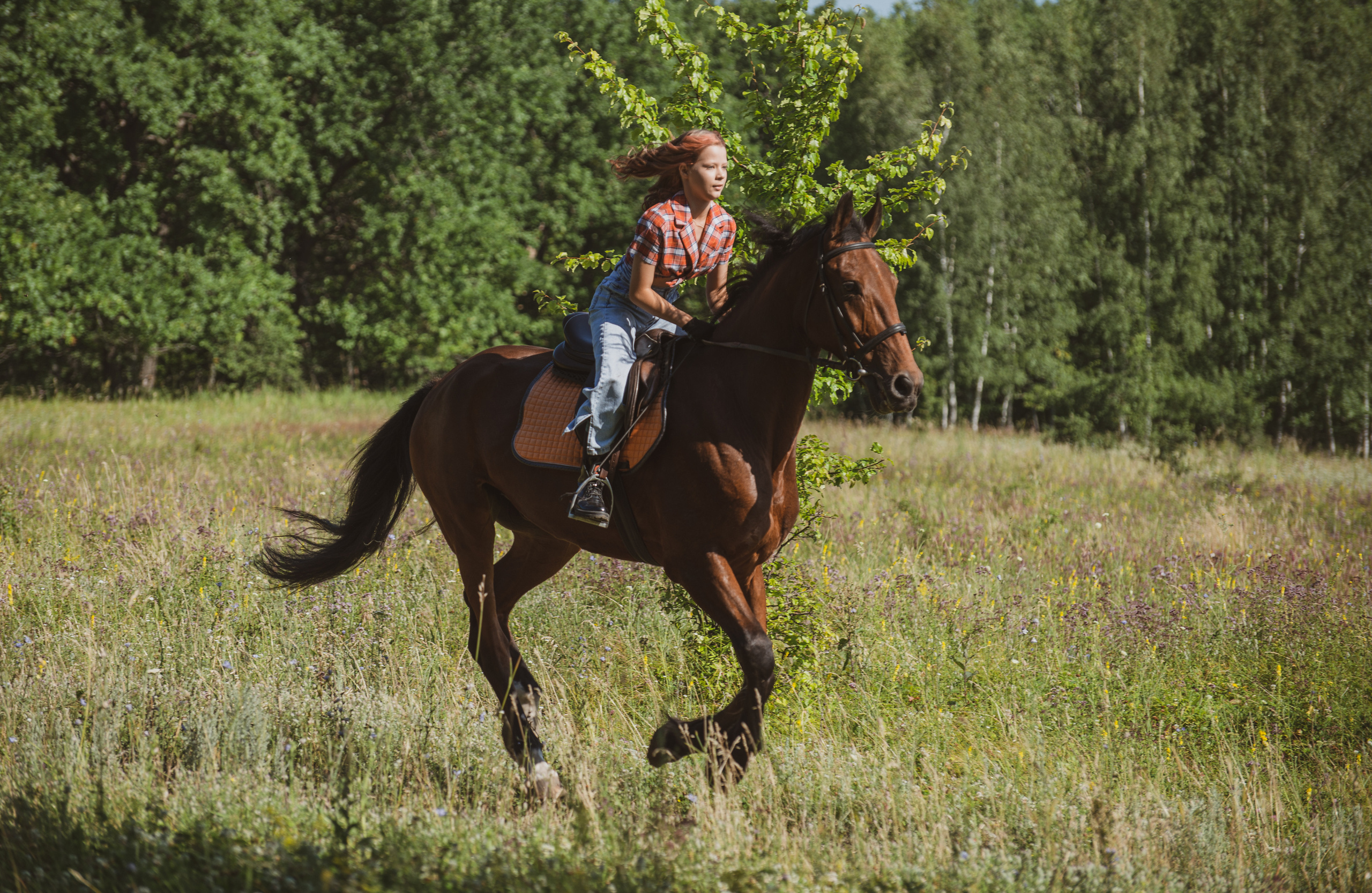 Вероника и Финист. Конный фотограф в Саратове Юлия Иванова