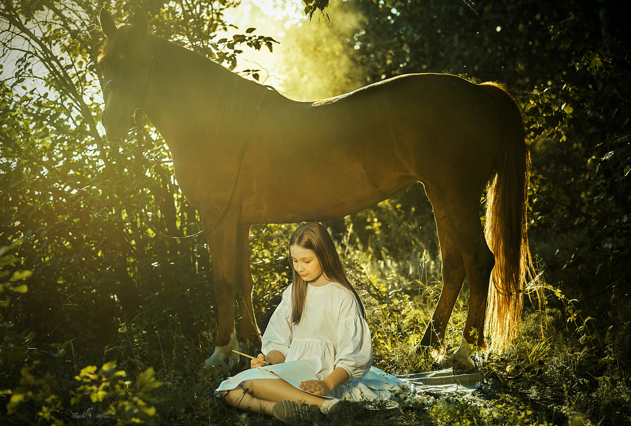 Катерина и Находка. Конный фотограф в Саратове Юлия Иванова