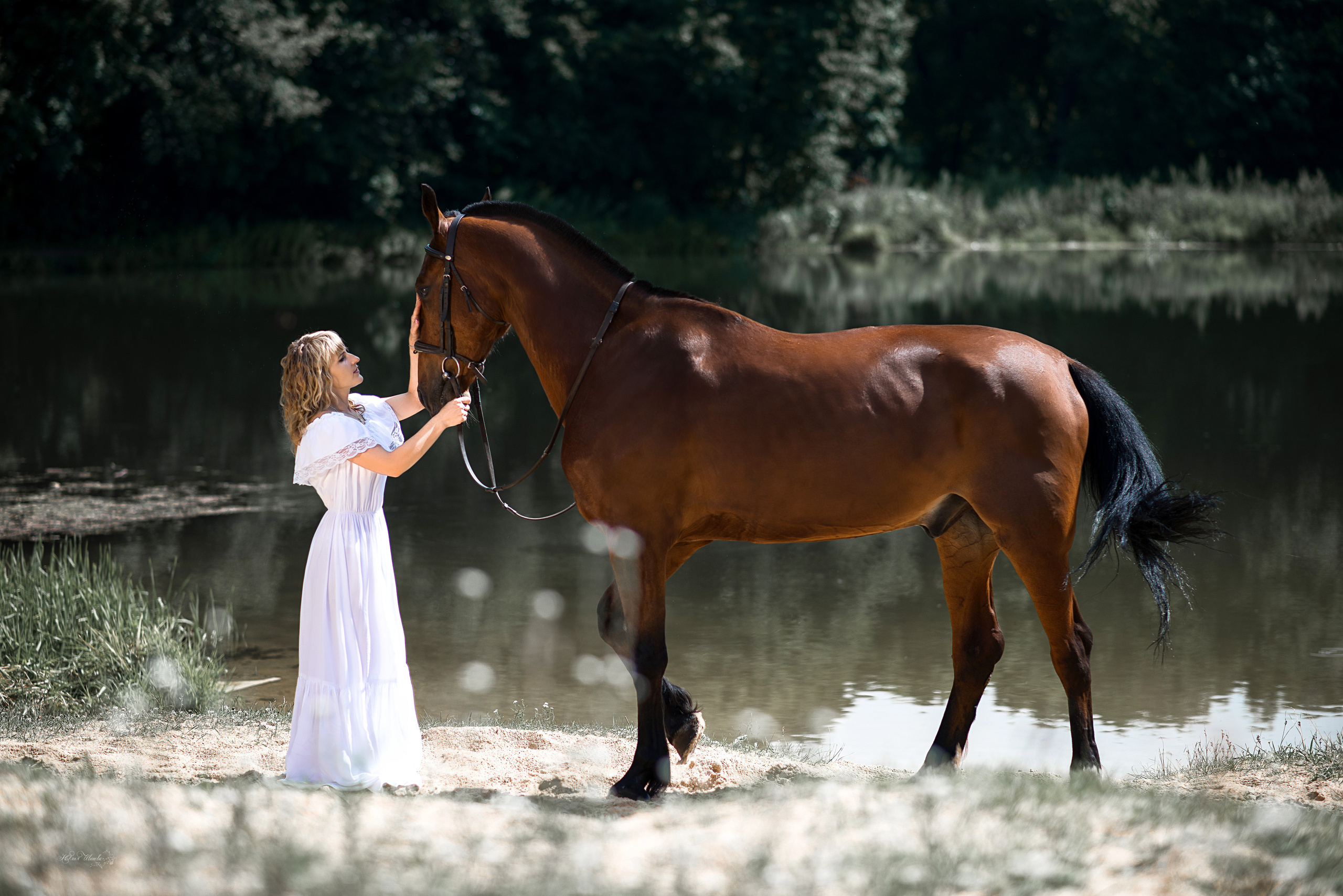 Марина и Финист. Конный фотограф в Саратове Юлия Иванова
