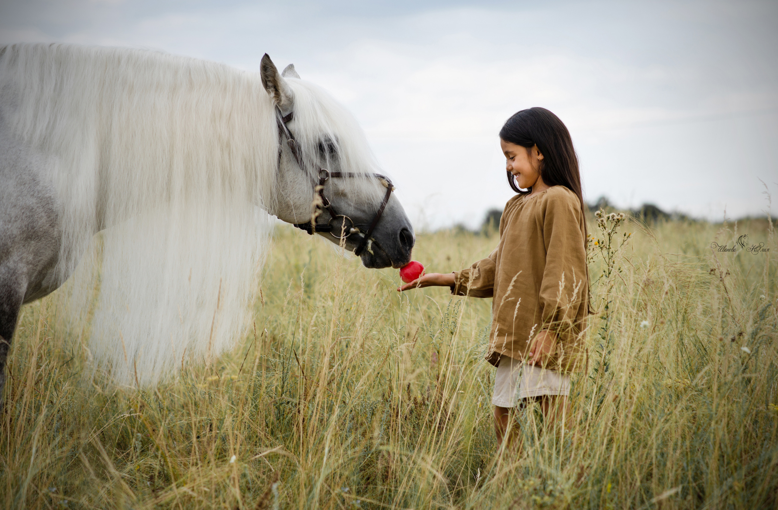 Семья Доховых и Вымпел. Конный фотограф в Саратове Юлия Иванова