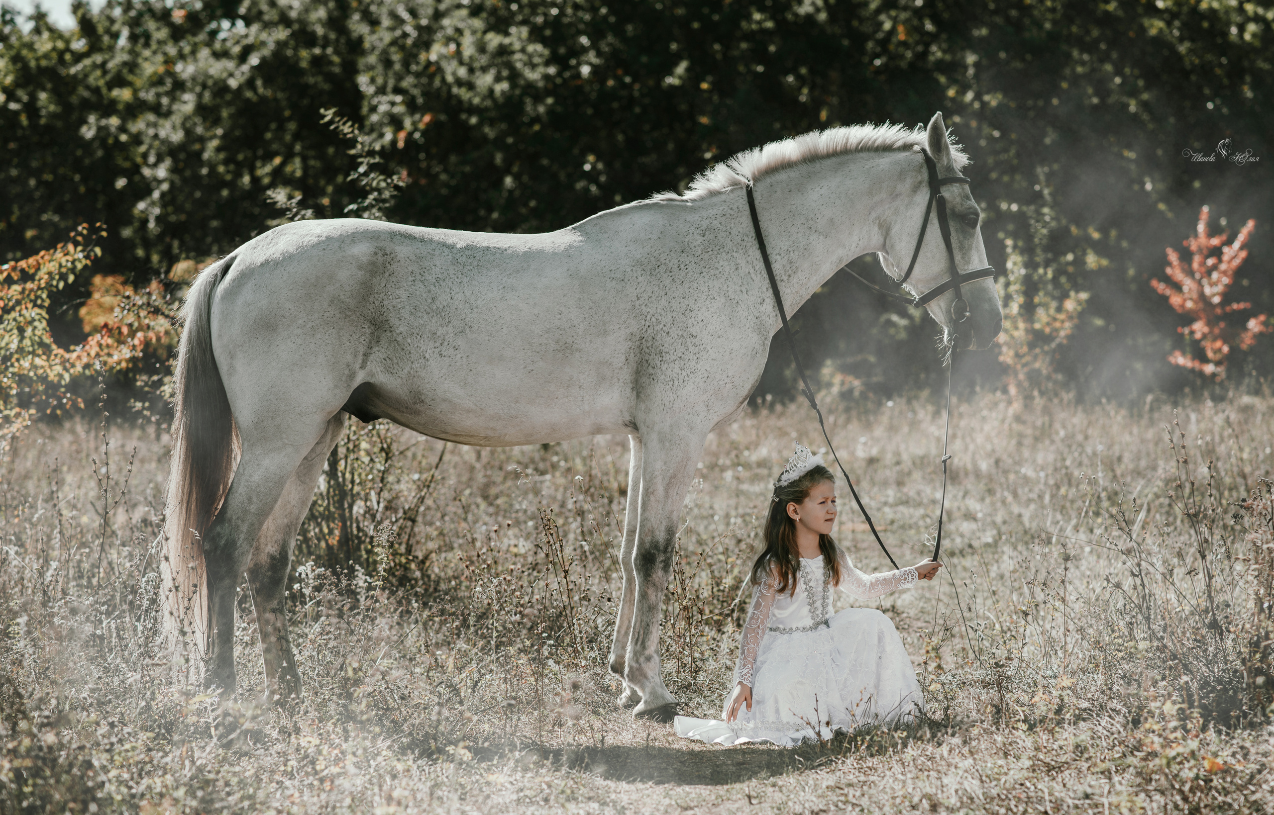 Мирослава и Гипноз. Конный фотограф в Саратове Юлия Иванова