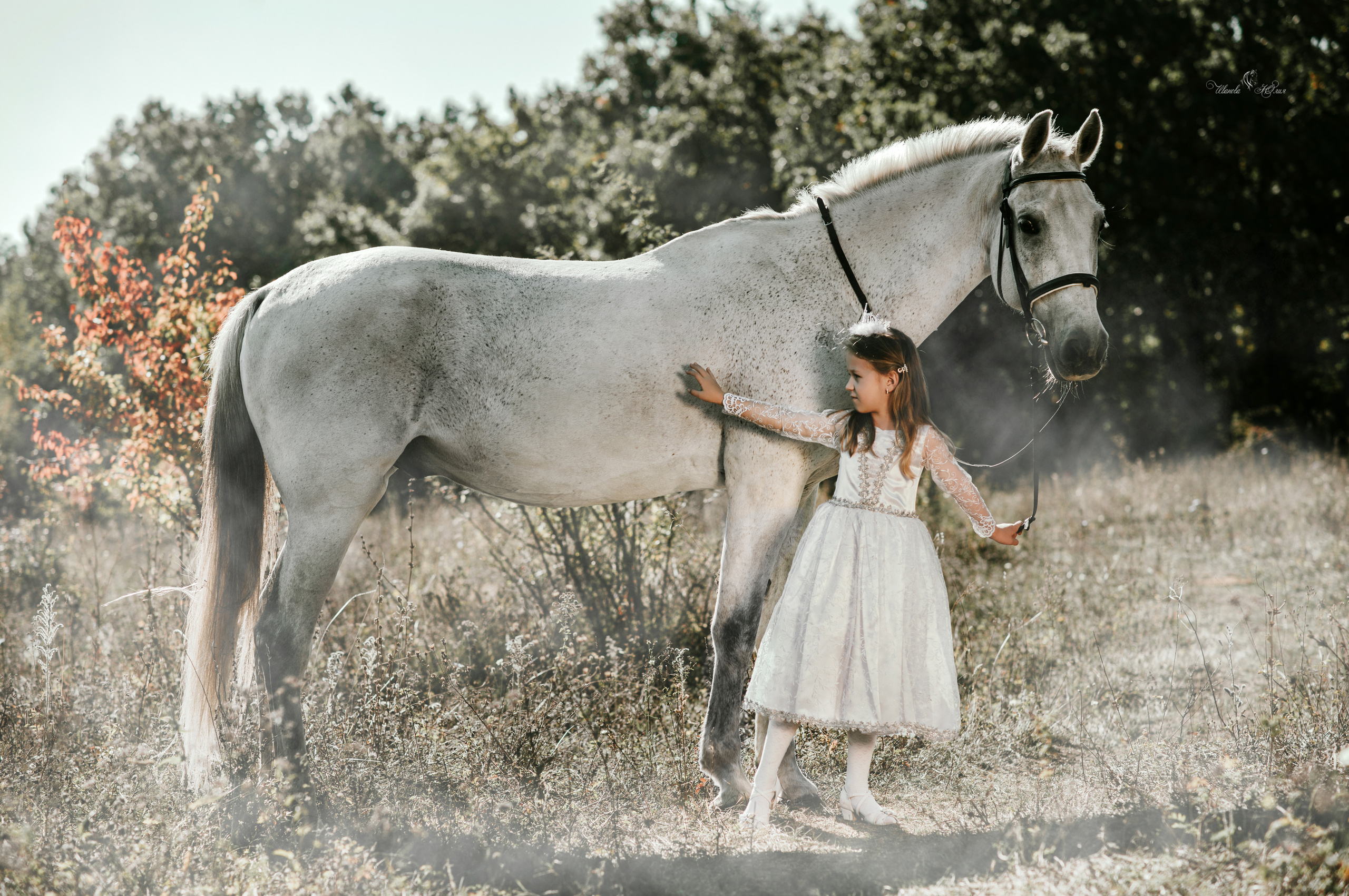 Мирослава и Гипноз. Конный фотограф в Саратове Юлия Иванова