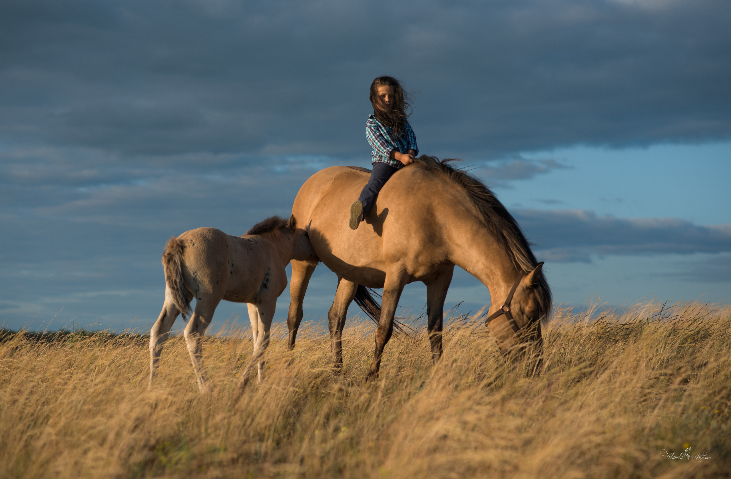 Алена и её друг. Конный фотограф в Саратове Юлия Иванова
