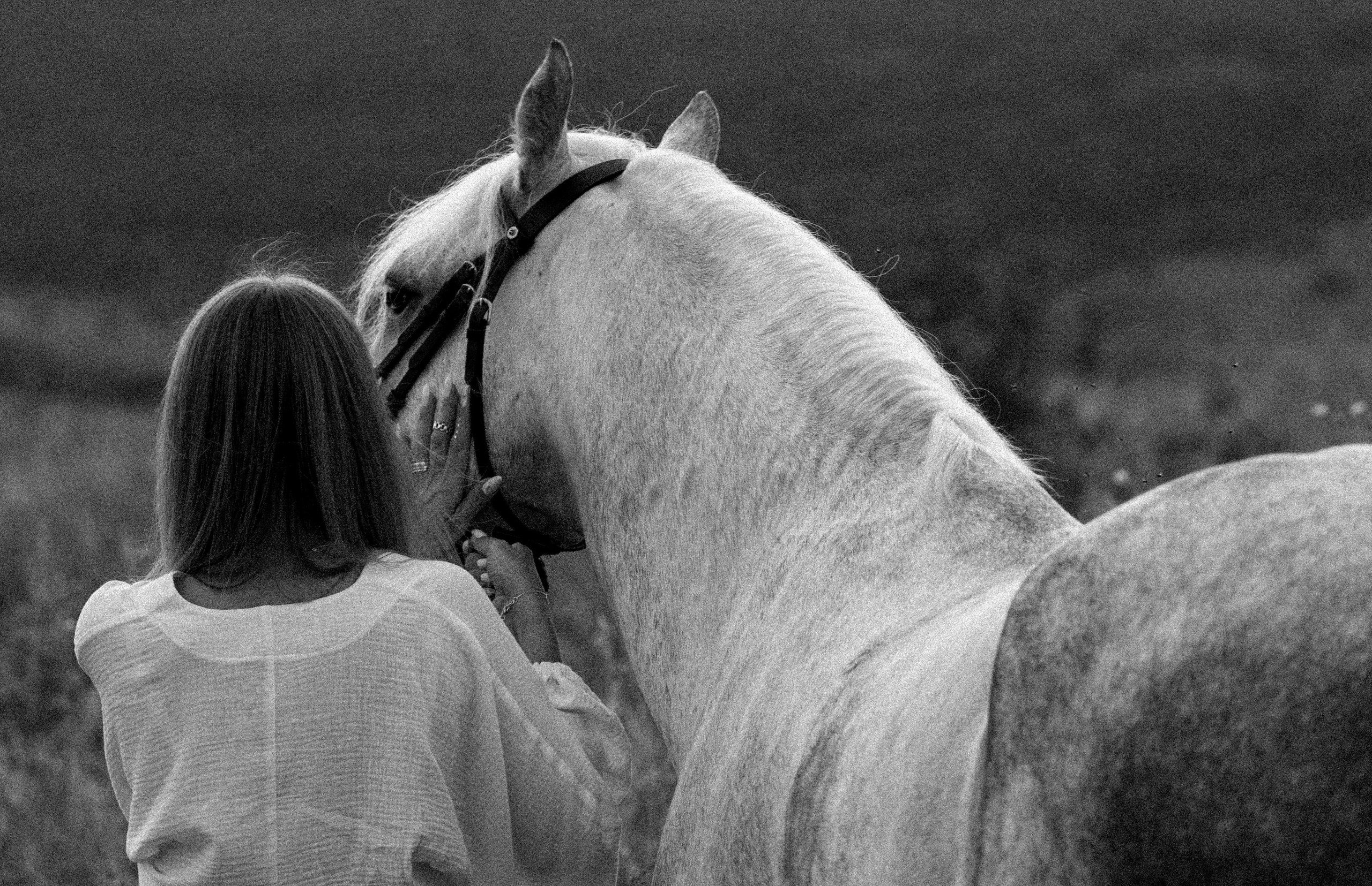 Елена и Вымпел. Конный фотограф в Саратове Юлия Иванова