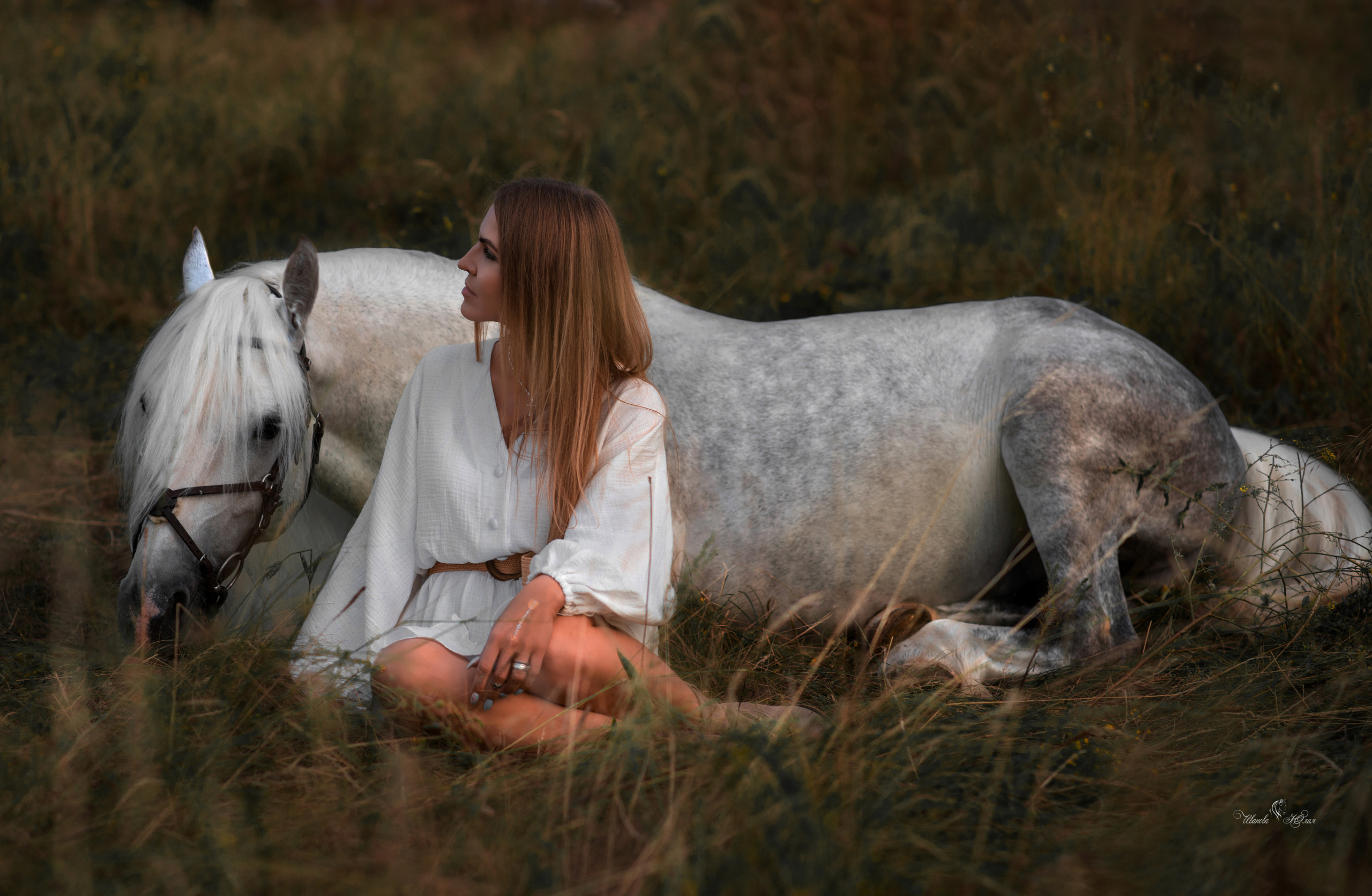 Елена и Вымпел. Конный фотограф в Саратове Юлия Иванова