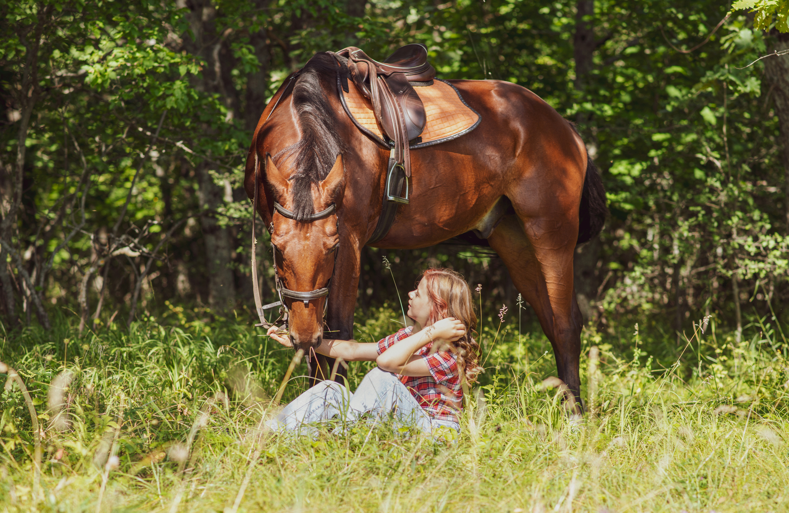 Вероника и Финист. Конный фотограф в Саратове Юлия Иванова