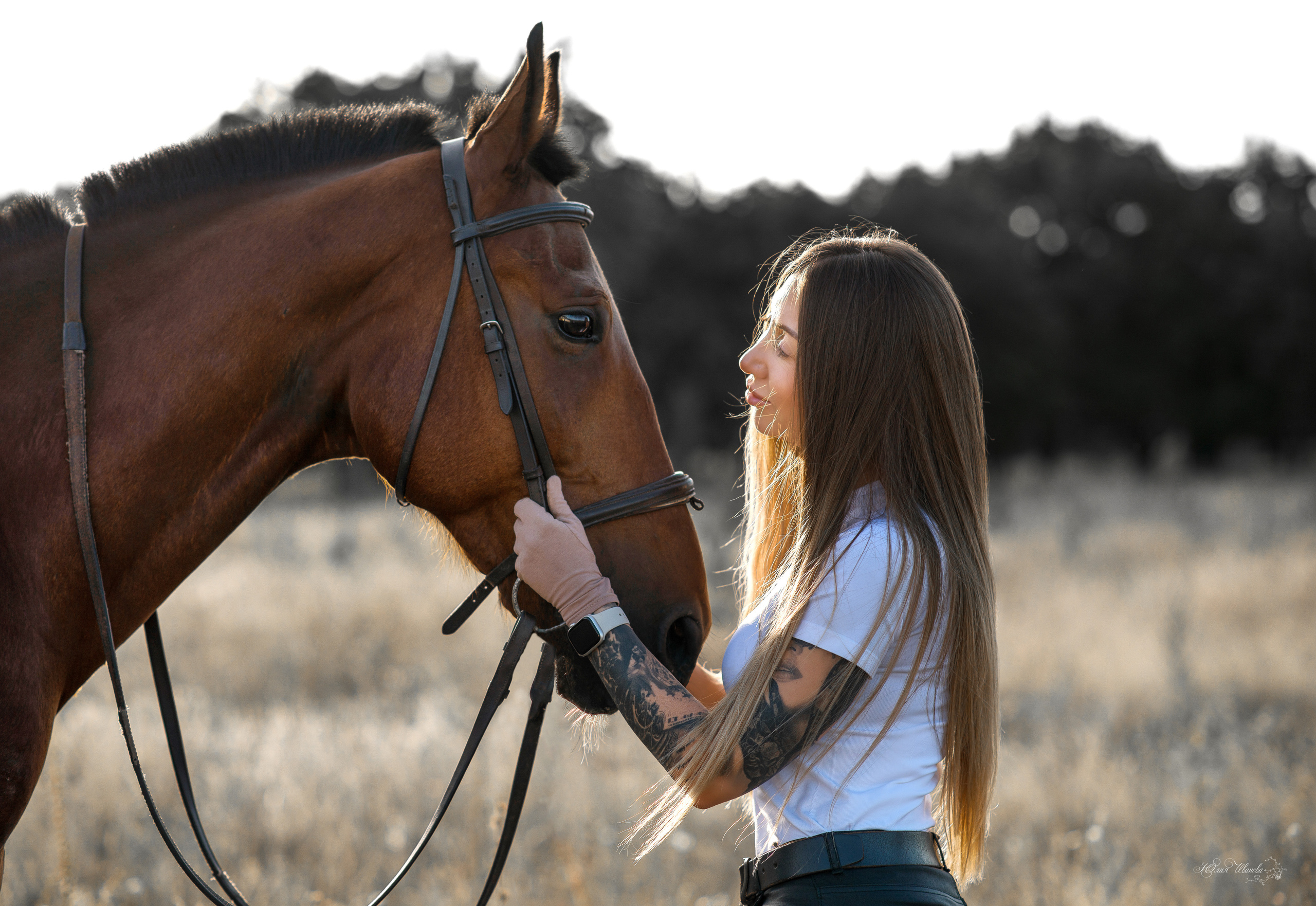 Юлия и Финист. Конный фотограф в Саратове Юлия Иванова