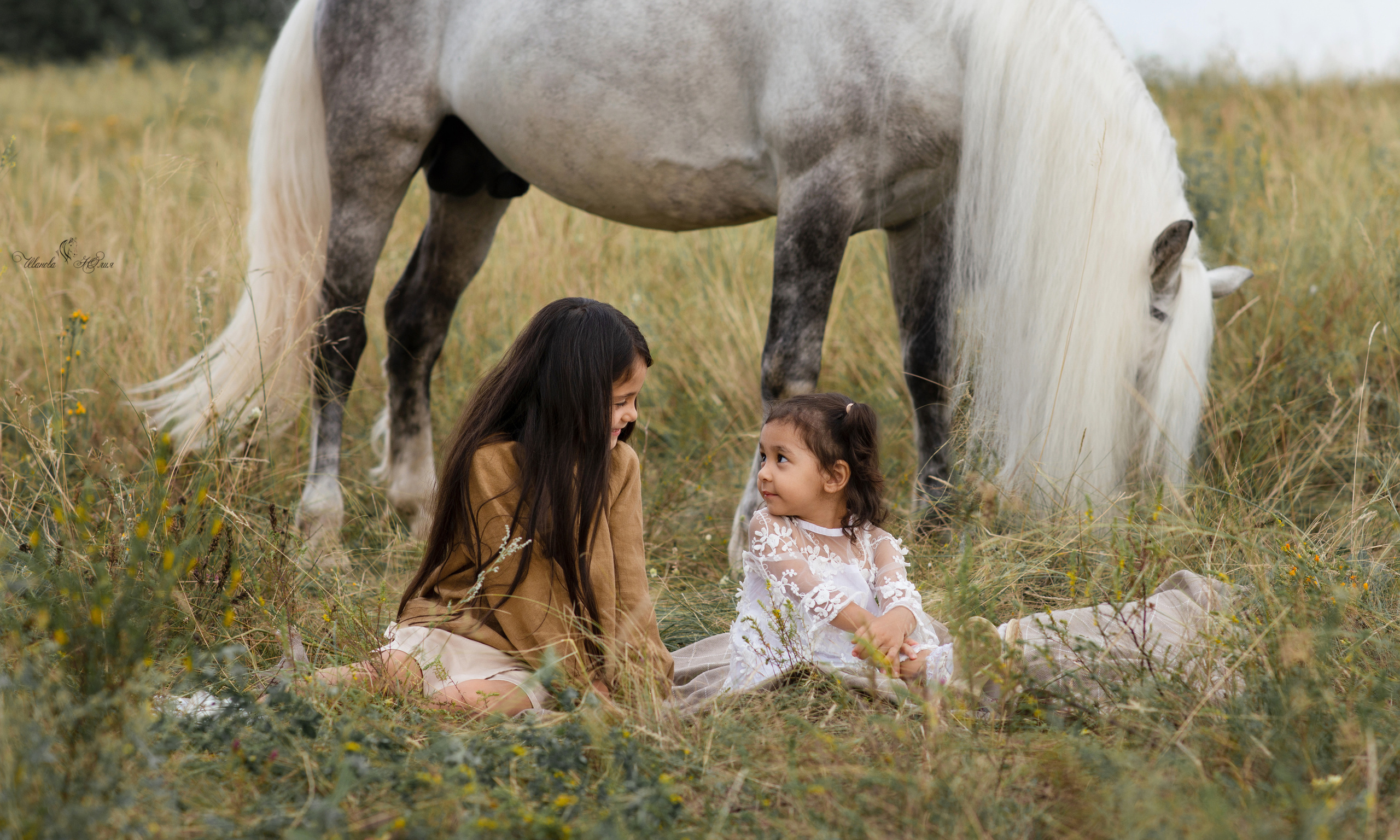 Семья Доховых и Вымпел. Конный фотограф в Саратове Юлия Иванова