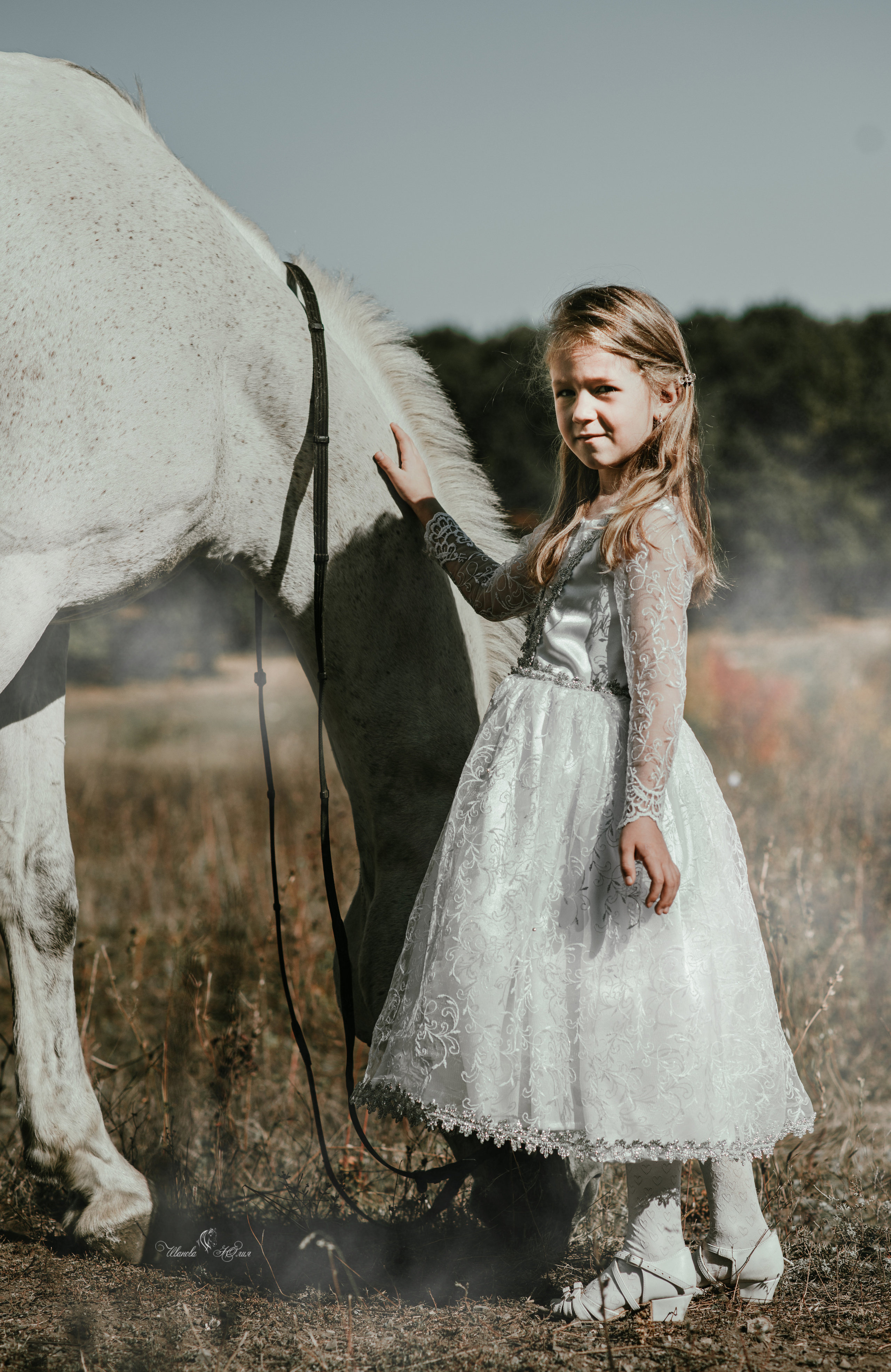Мирослава и Гипноз. Конный фотограф в Саратове Юлия Иванова