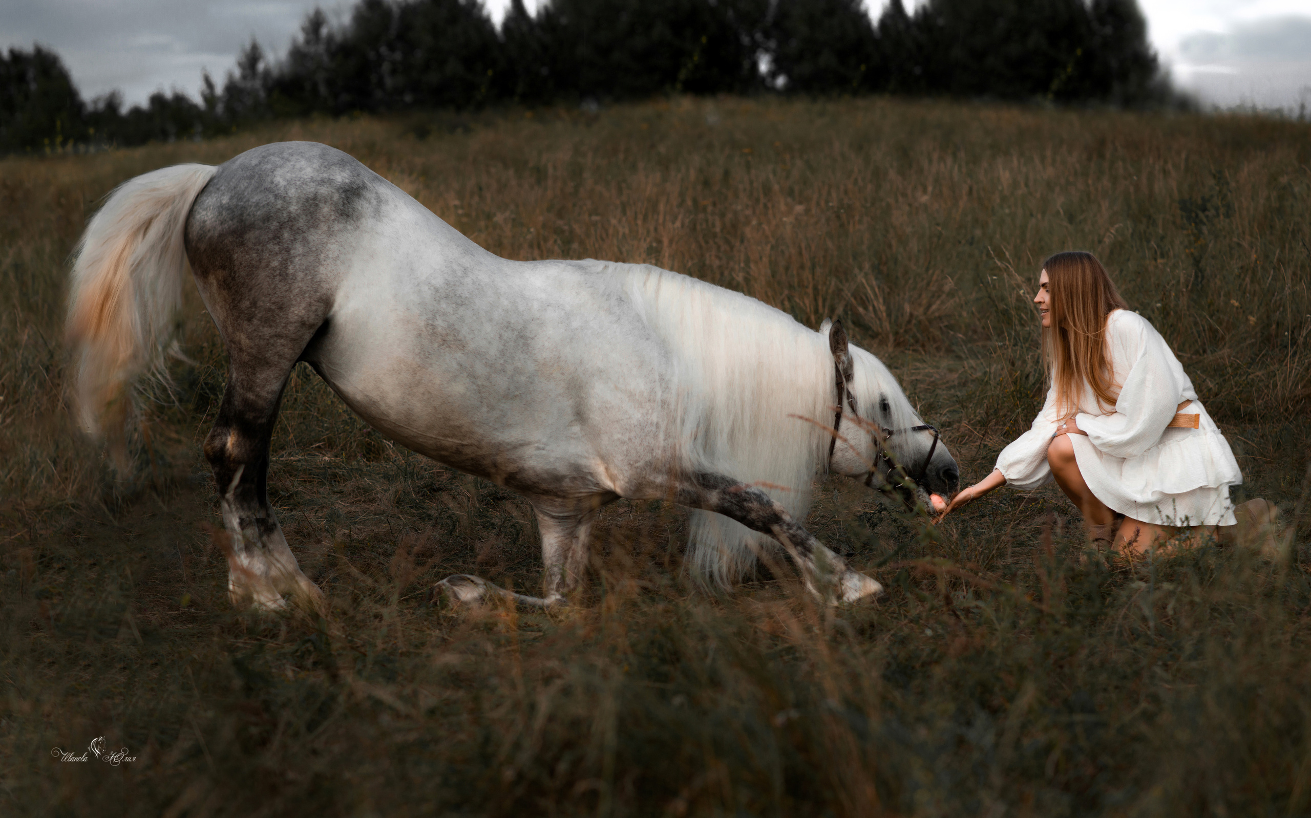 Елена и Вымпел. Конный фотограф в Саратове Юлия Иванова