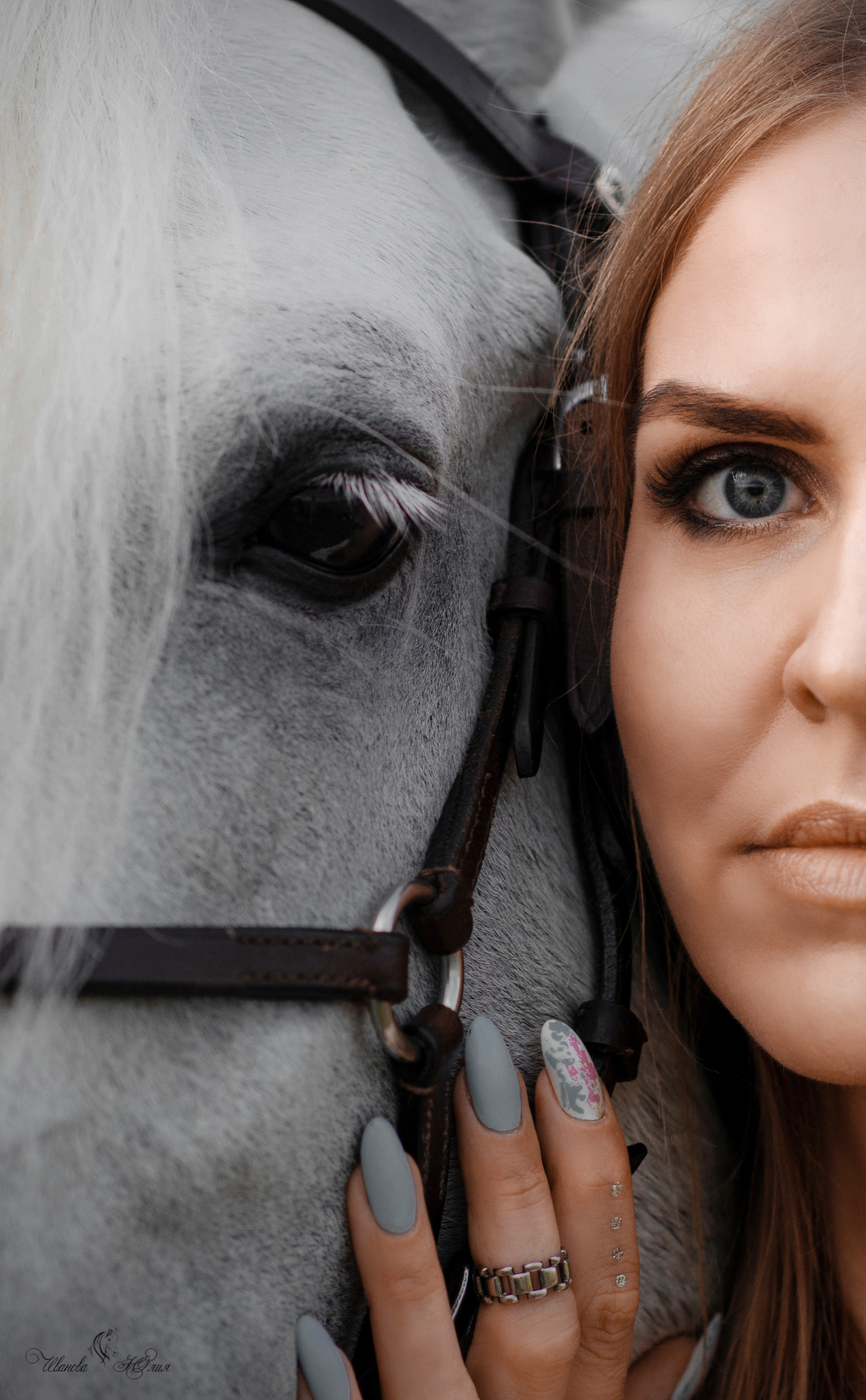 Елена и Вымпел. Конный фотограф в Саратове Юлия Иванова