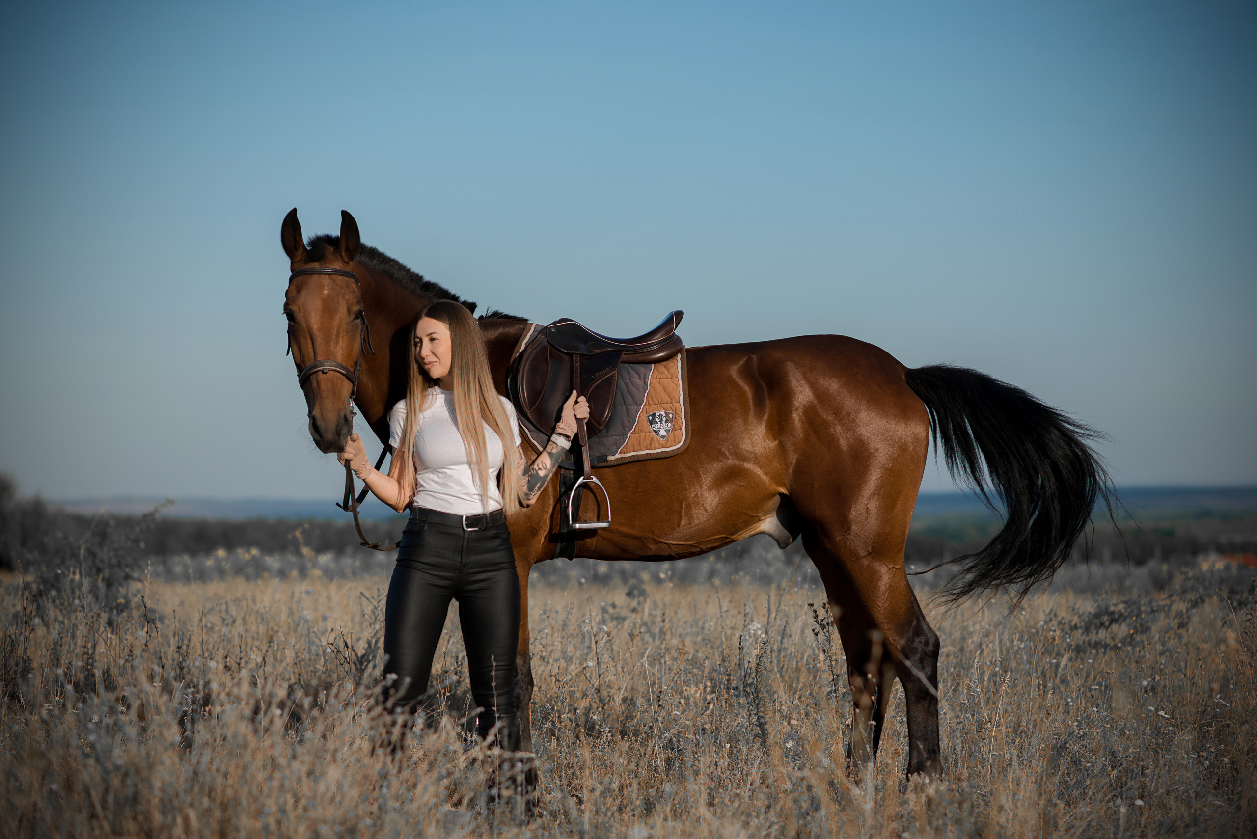 Юлия и Финист. Конный фотограф в Саратове Юлия Иванова