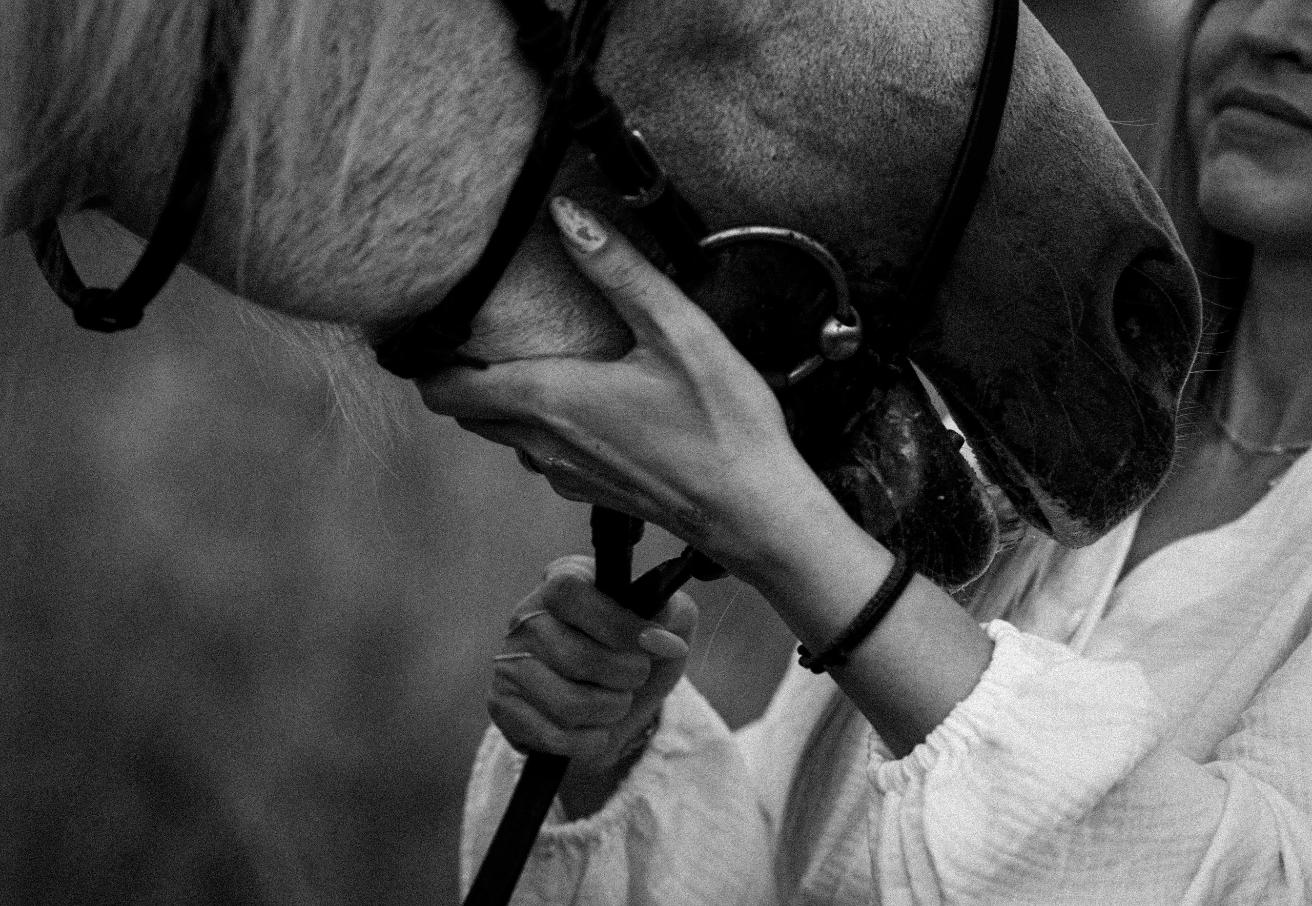 Елена и Вымпел. Конный фотограф в Саратове Юлия Иванова