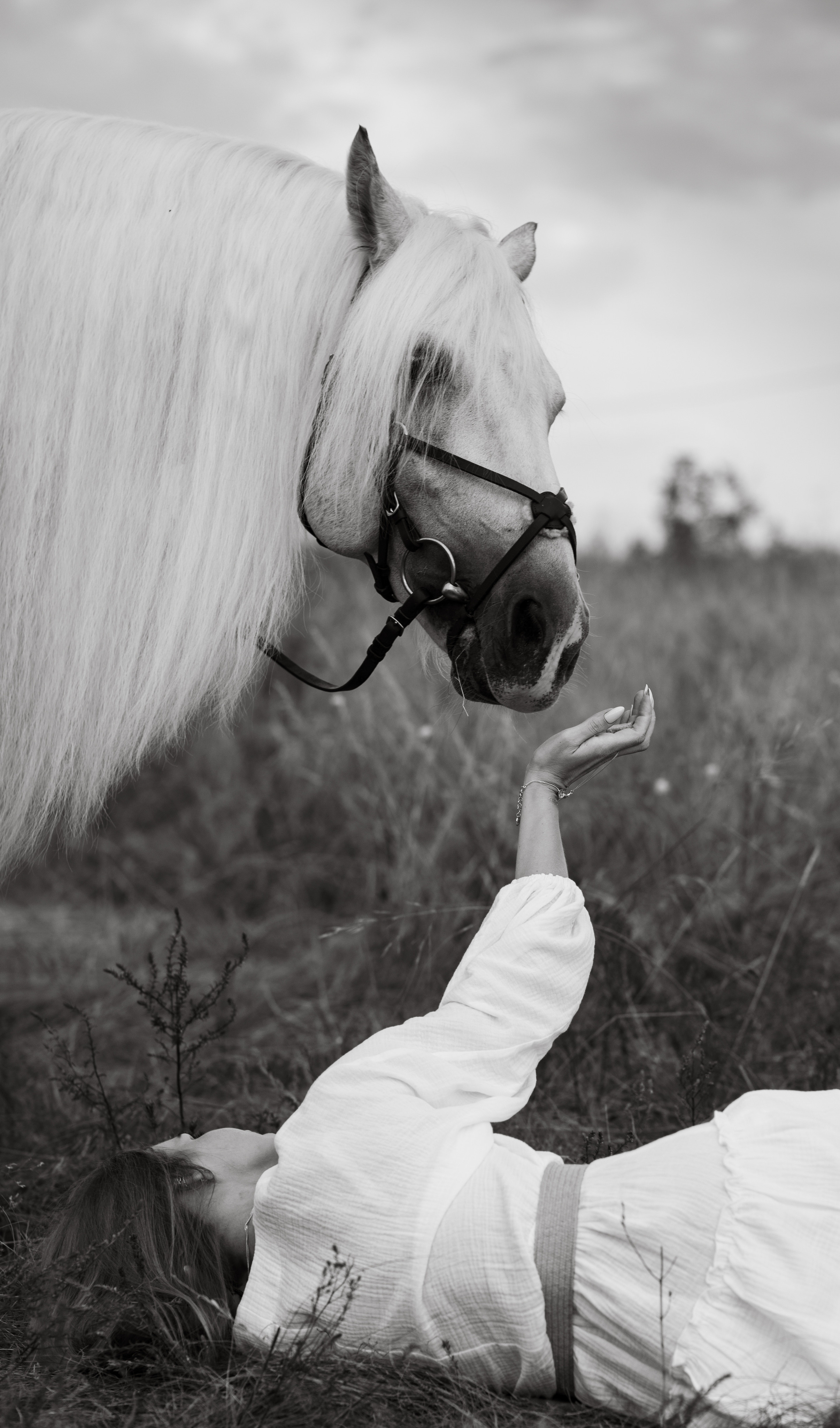 Елена и Вымпел. Конный фотограф в Саратове Юлия Иванова