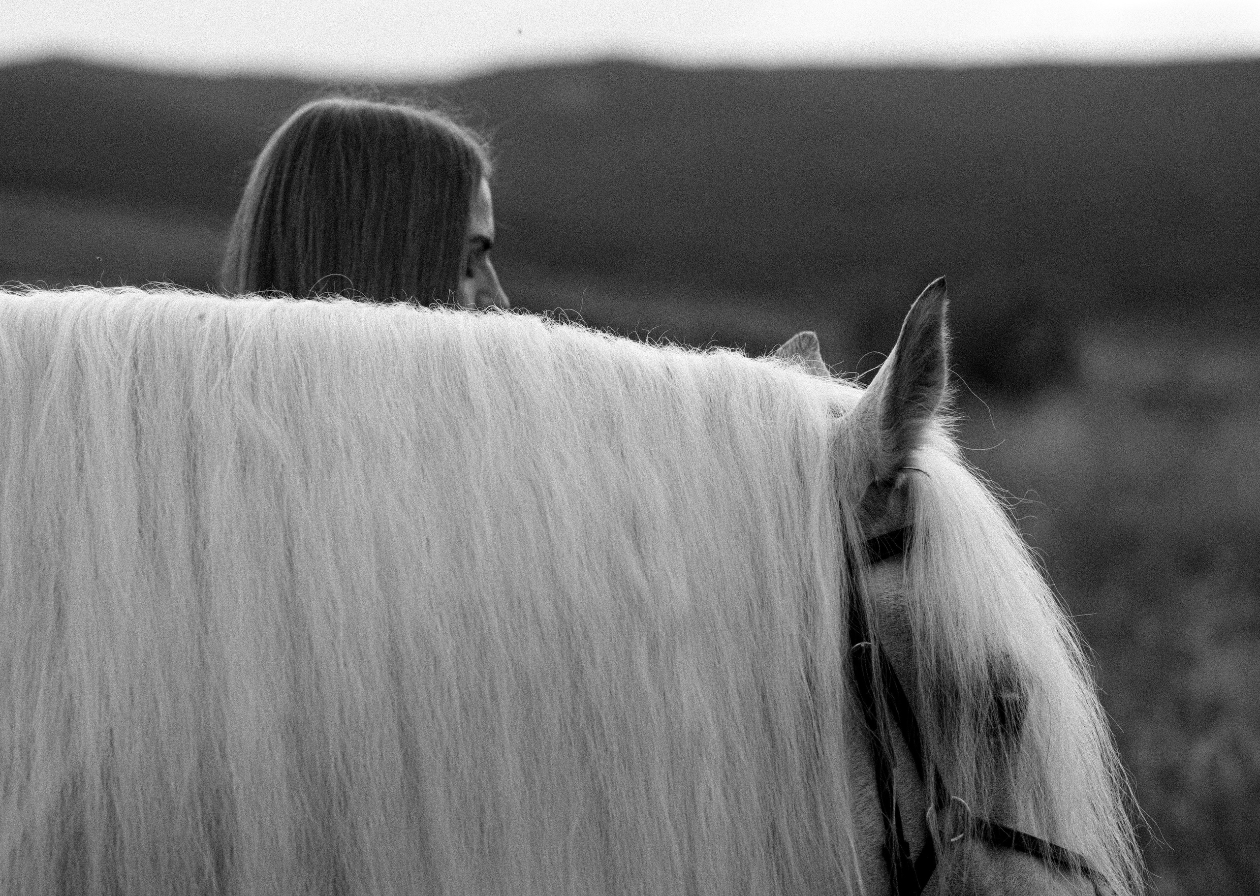Елена и Вымпел. Конный фотограф в Саратове Юлия Иванова