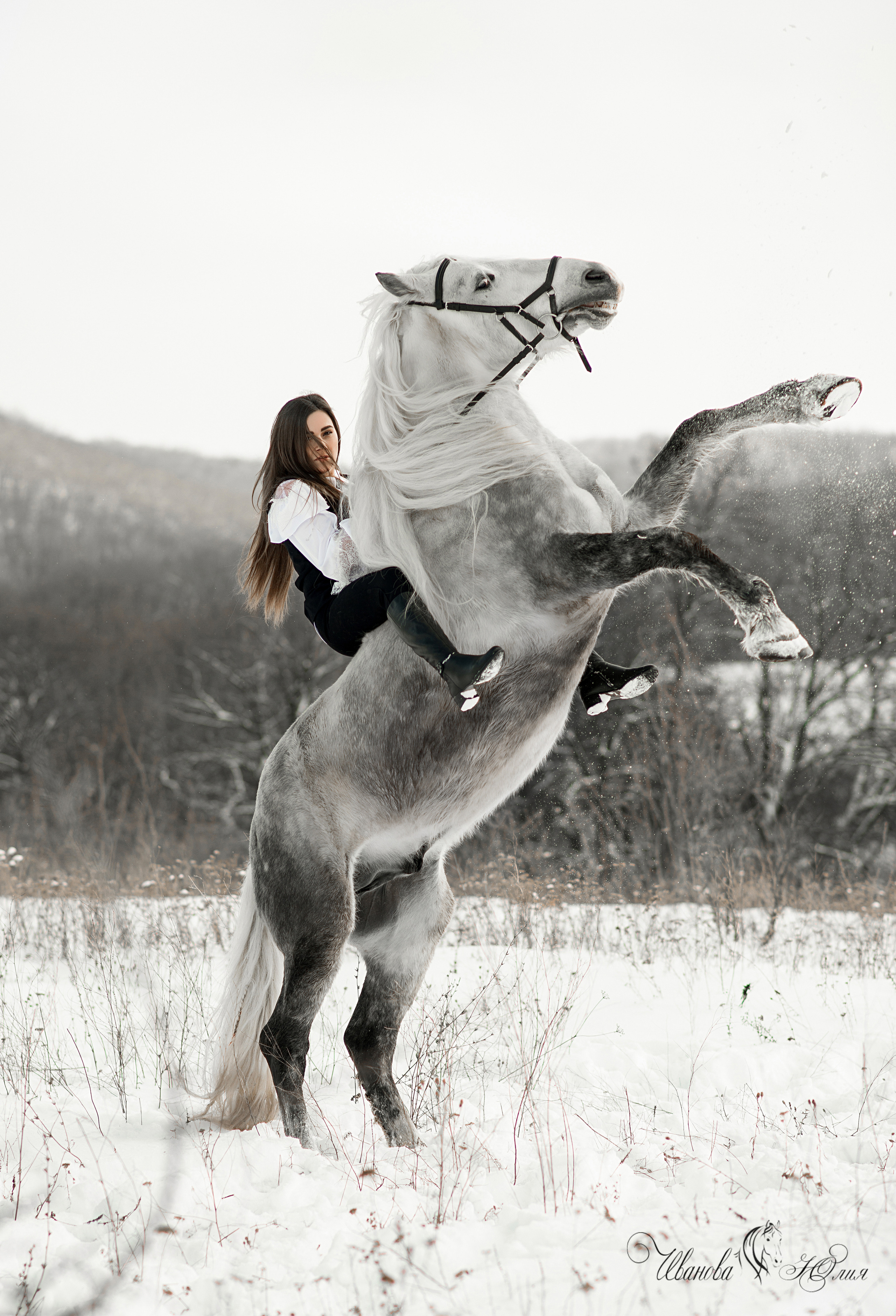 Маша и Вымпел. Конный фотограф в Саратове Юлия Иванова