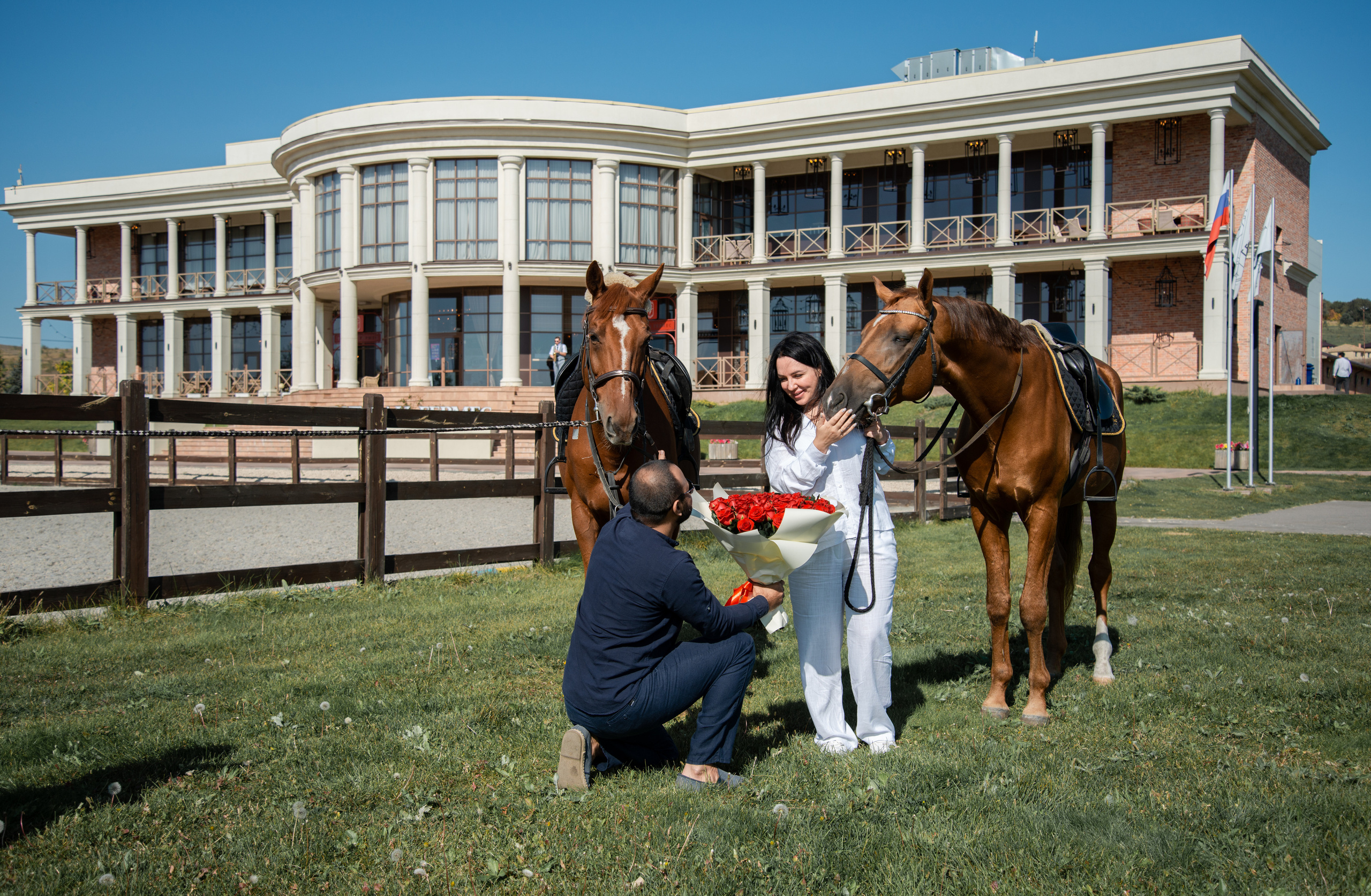 Предложение руки и сердца. Конный фотограф в Саратове Юлия Иванова