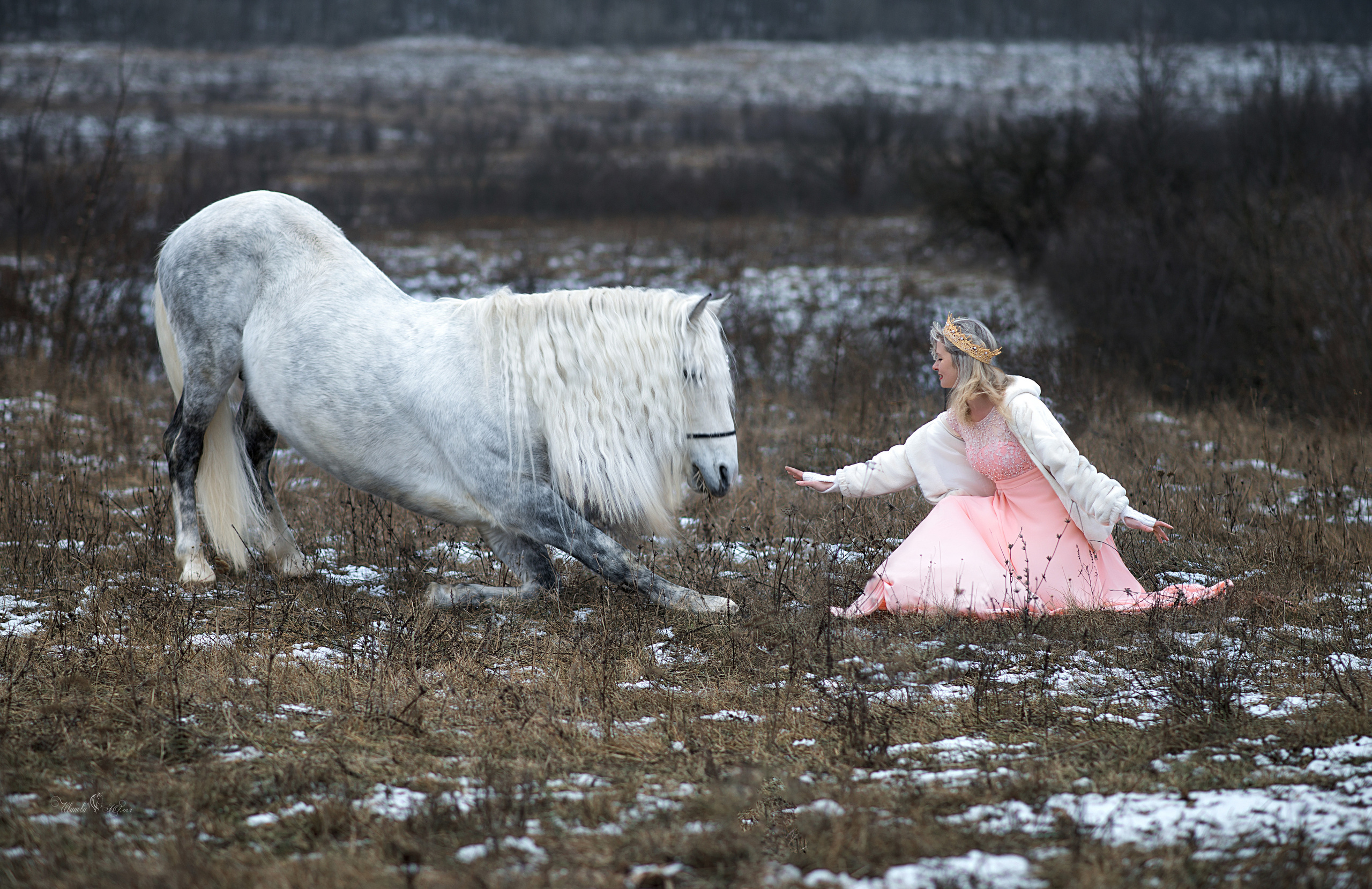 Наташа и Вымпел. Конный фотограф в Саратове Юлия Иванова
