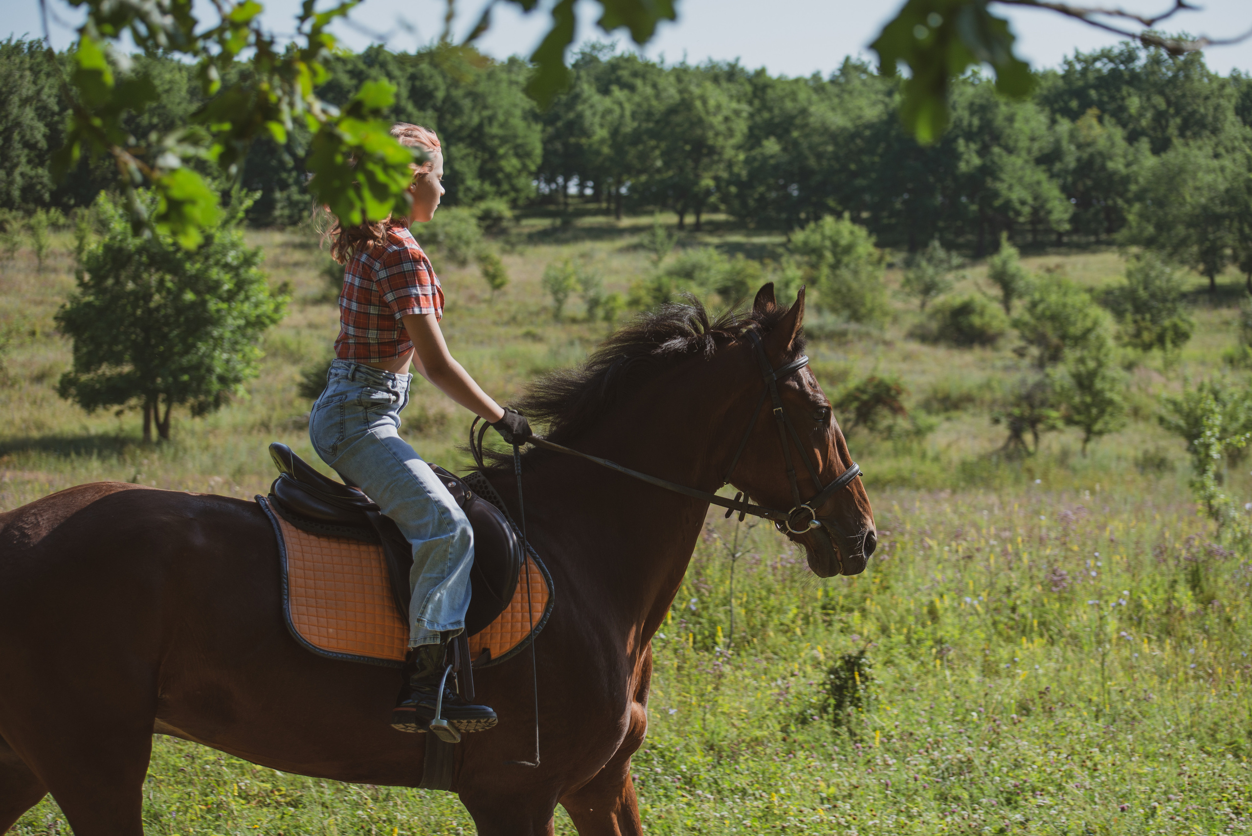 Вероника и Финист. Конный фотограф в Саратове Юлия Иванова