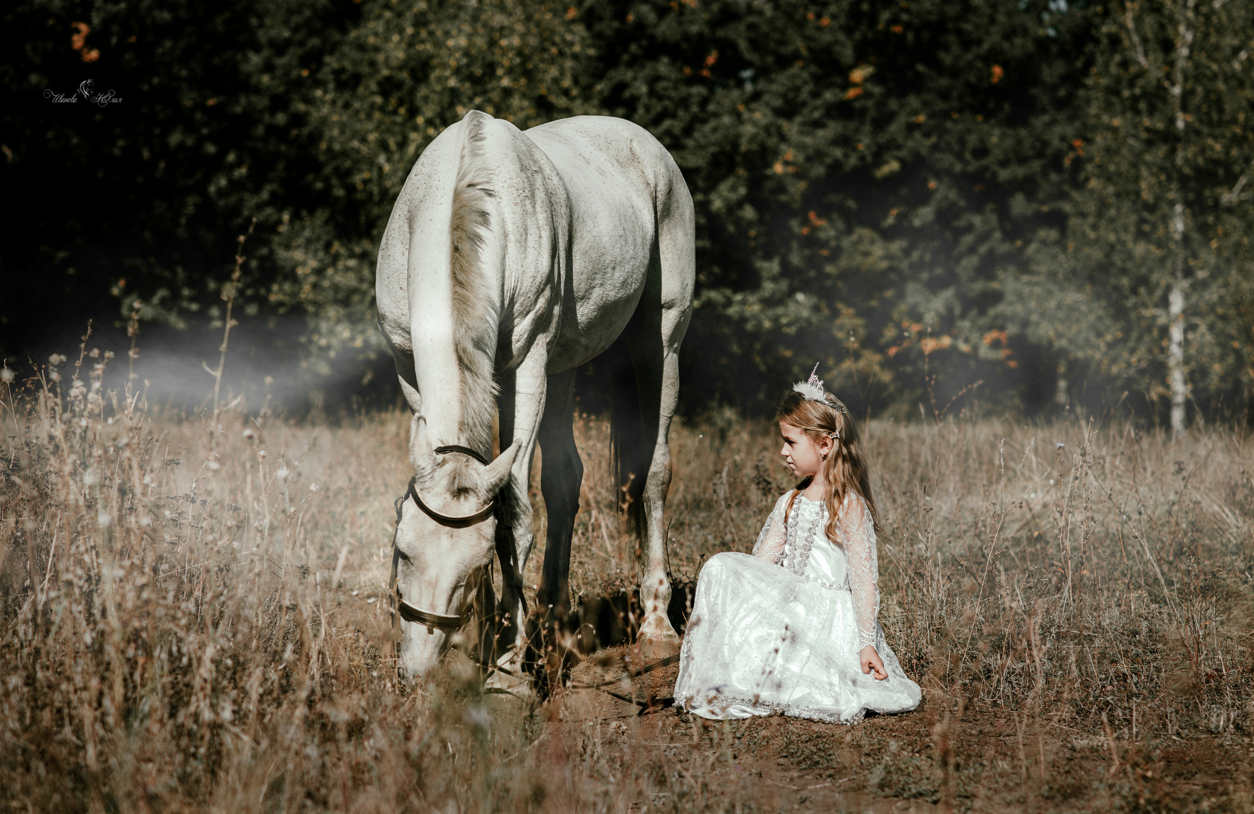 Мирослава и Гипноз. Конный фотограф в Саратове Юлия Иванова