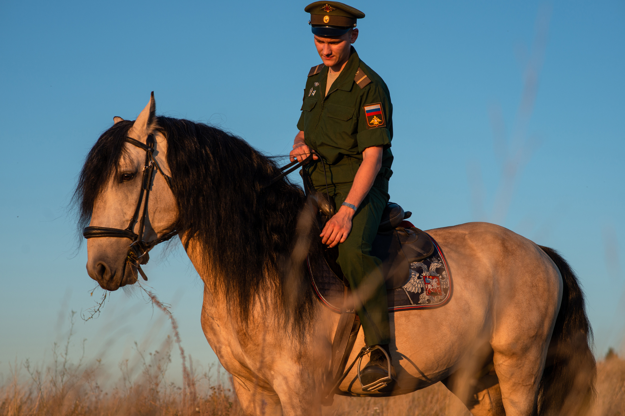 Геннадий и Тезей. Конный фотограф в Саратове Юлия Иванова