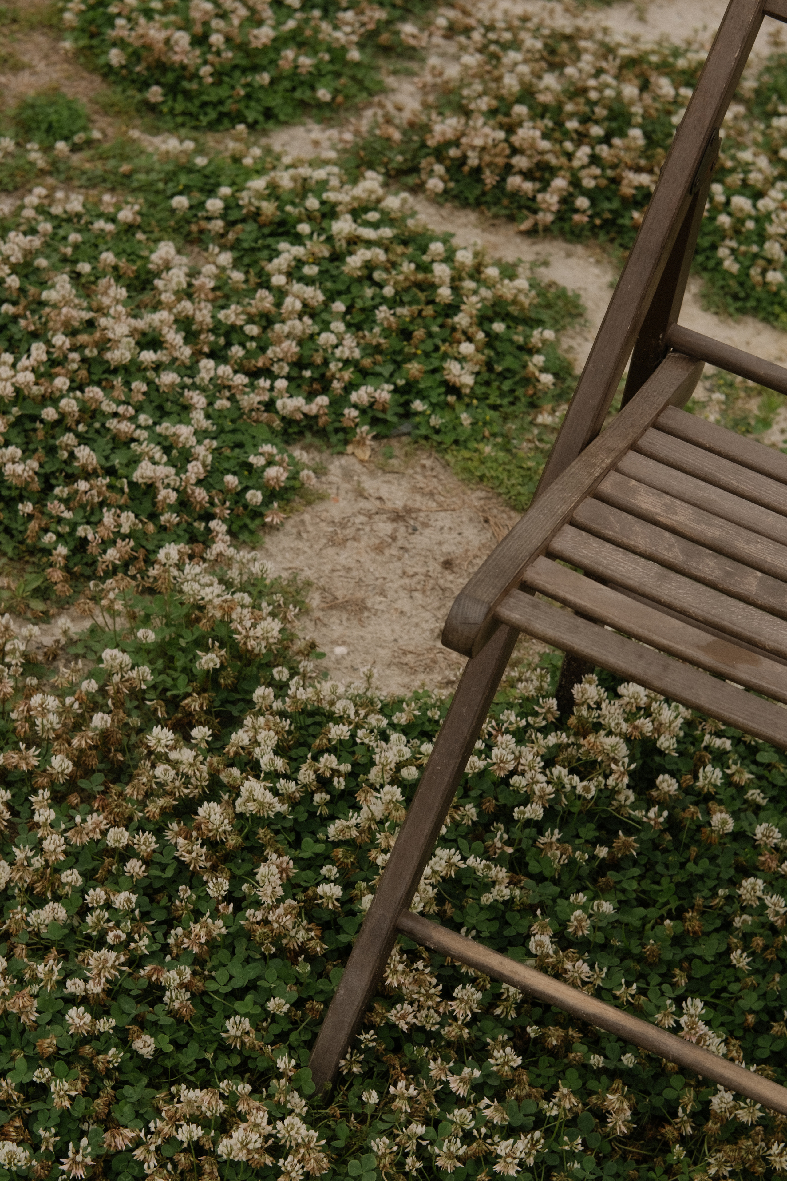 Свадьба Алены и Сергея. Главная