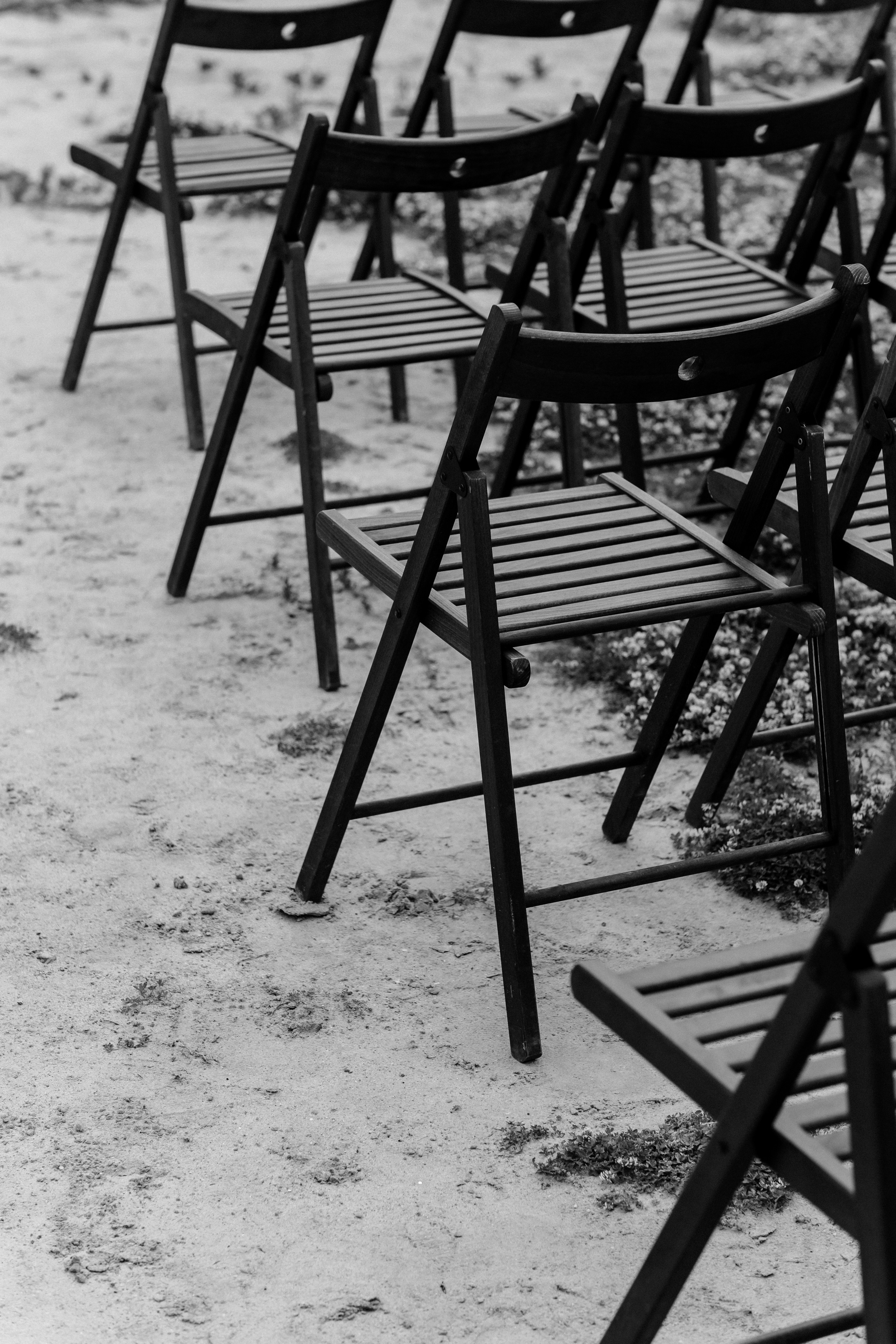 Свадьба Алены и Сергея. Главная