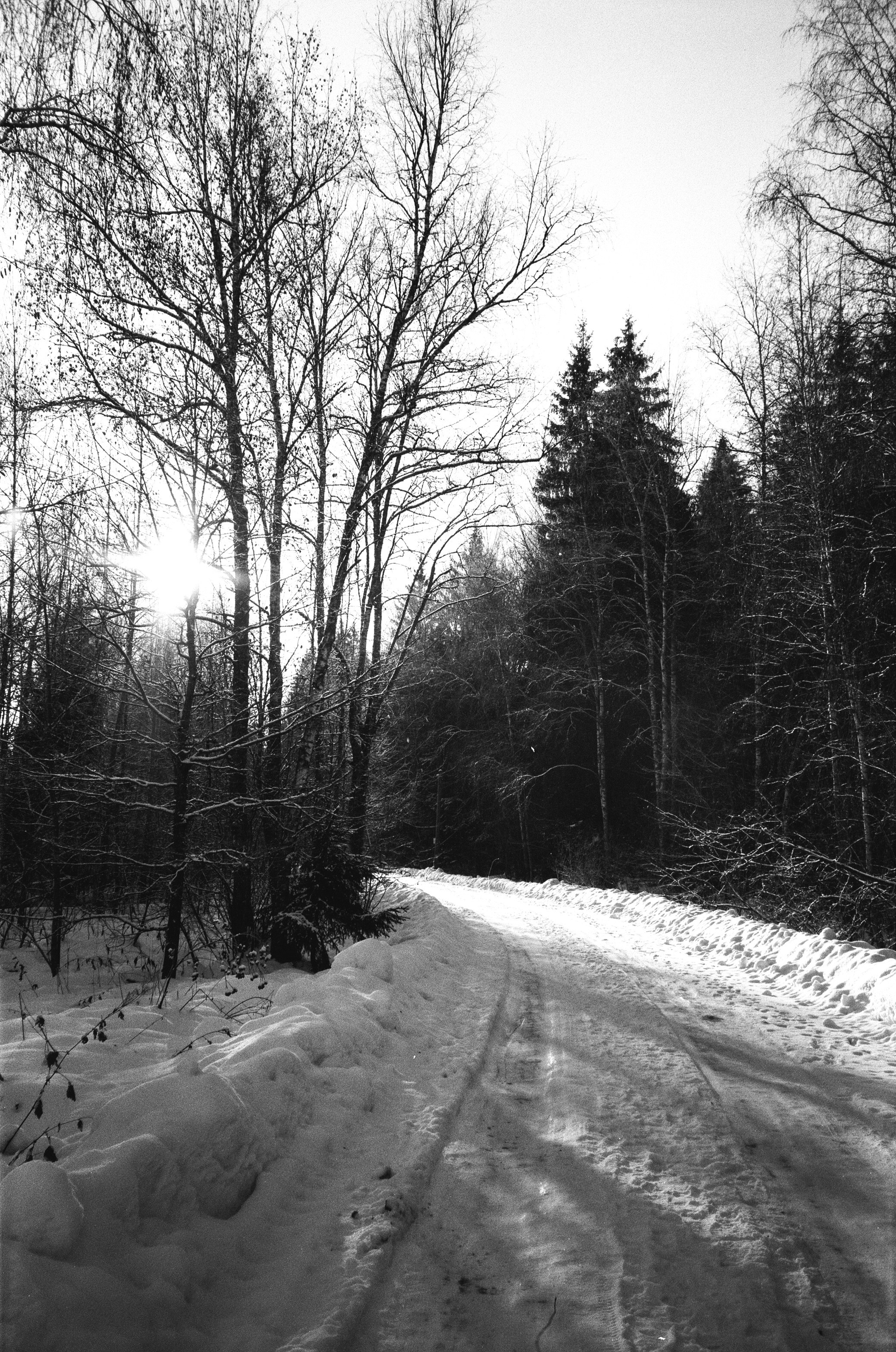 Nikon Action Touch (L35AW) / SFL T-25 / Давыдовское