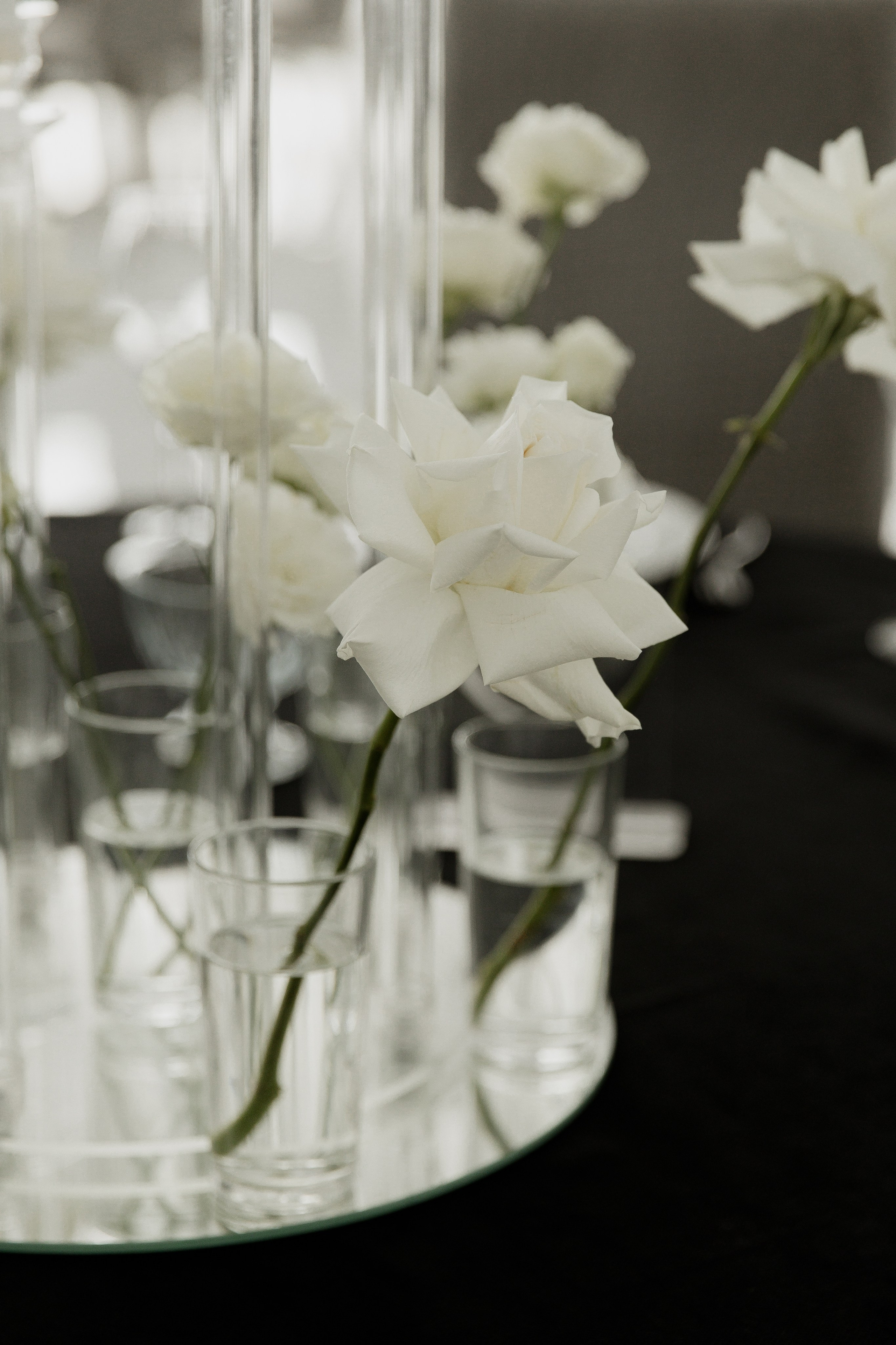 Давид и Кристина. Валеева Виктория | Свадебный фотограф в Ростове-на-Дону и Москве